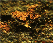 Coatings 13 00488 i014