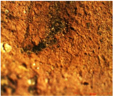 Coatings 13 00488 i017