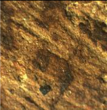 Coatings 13 00488 i020