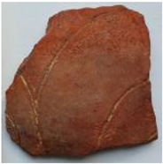 Coatings 13 00488 i022