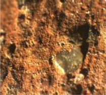 Coatings 13 00488 i023