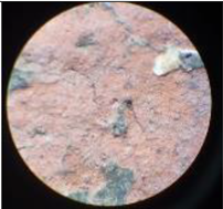 Coatings 13 00488 i024