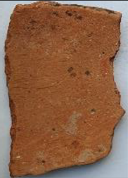 Coatings 13 00488 i028