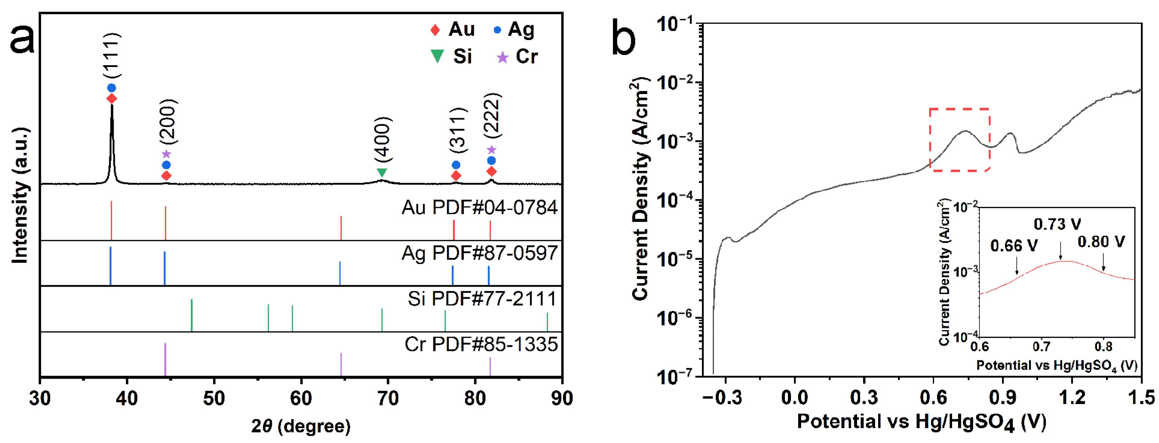 Coatings 13 00489 g001