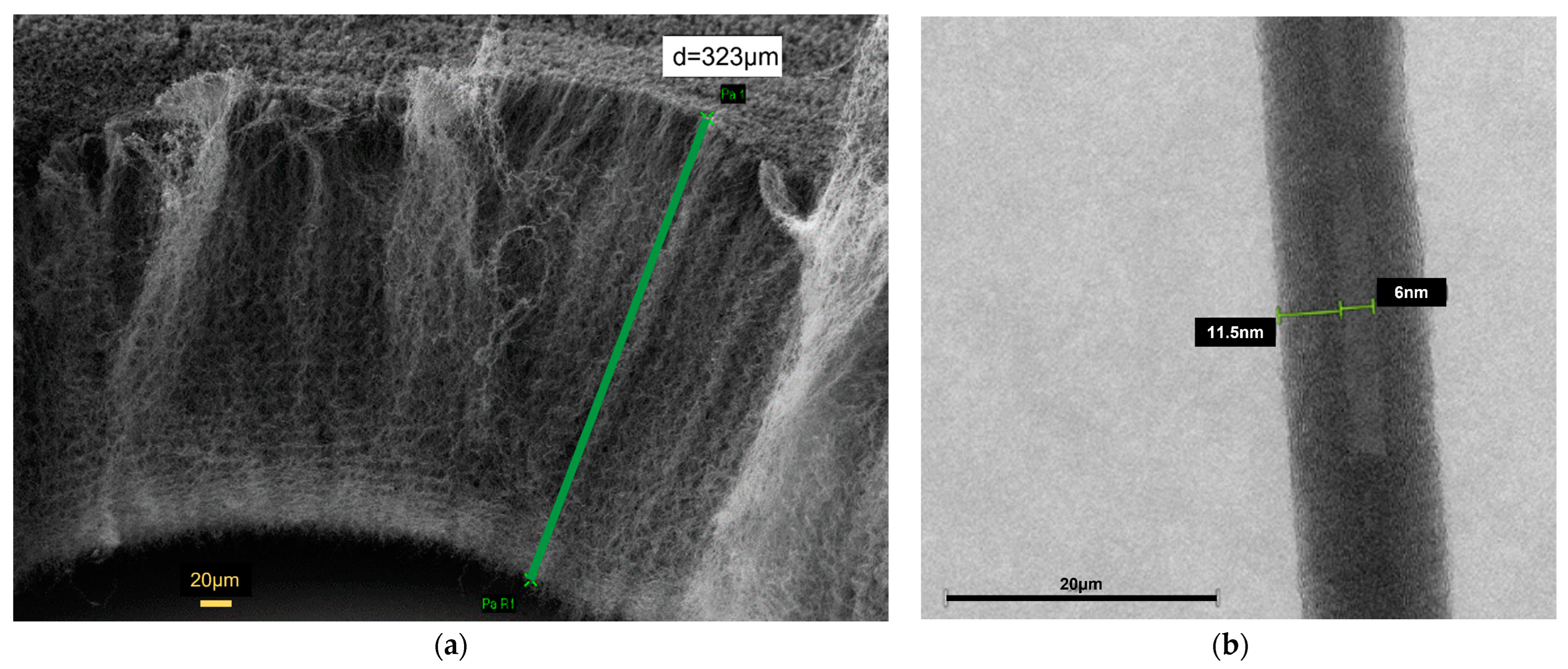 Coatings 13 00492 g001