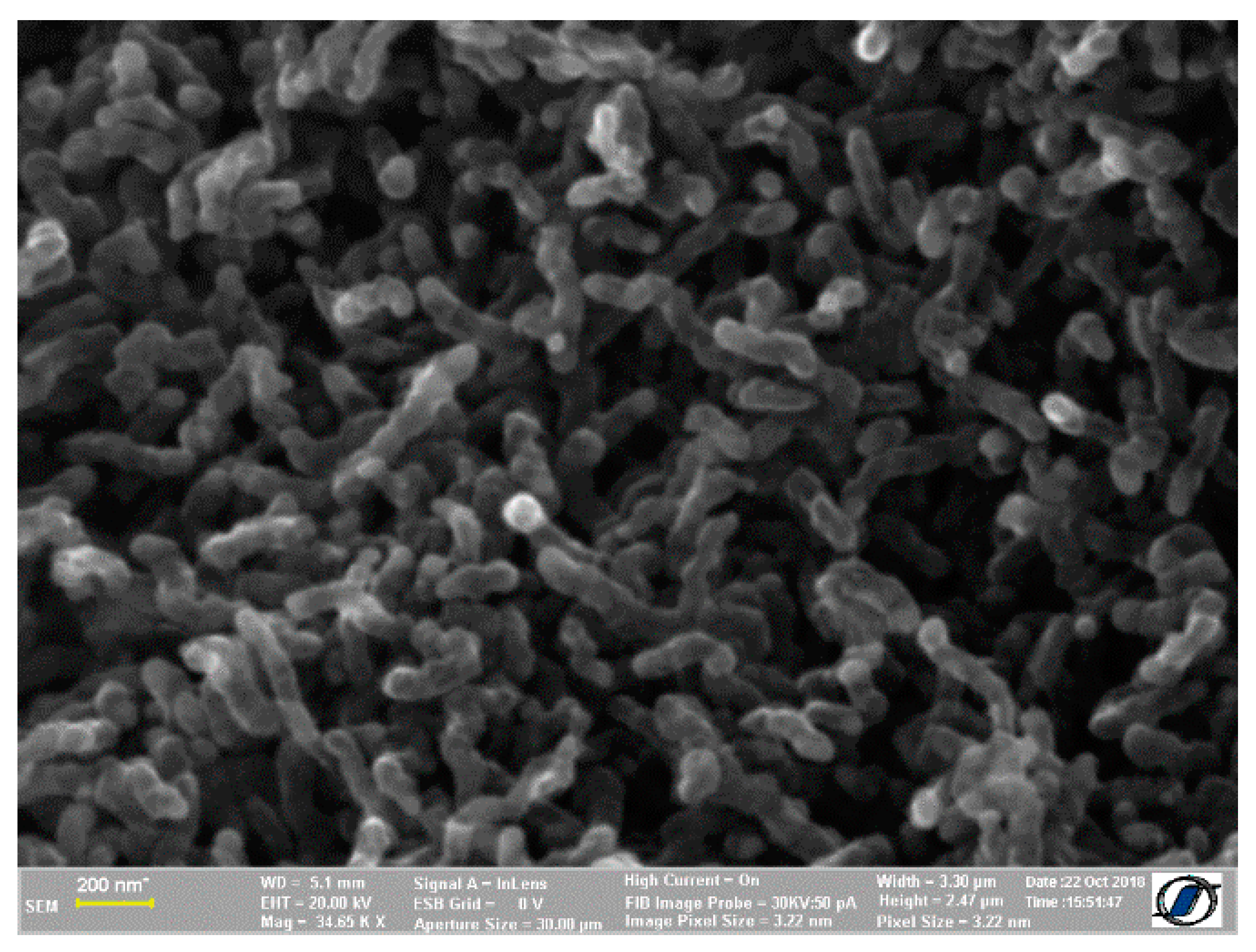 Coatings 13 00492 g002