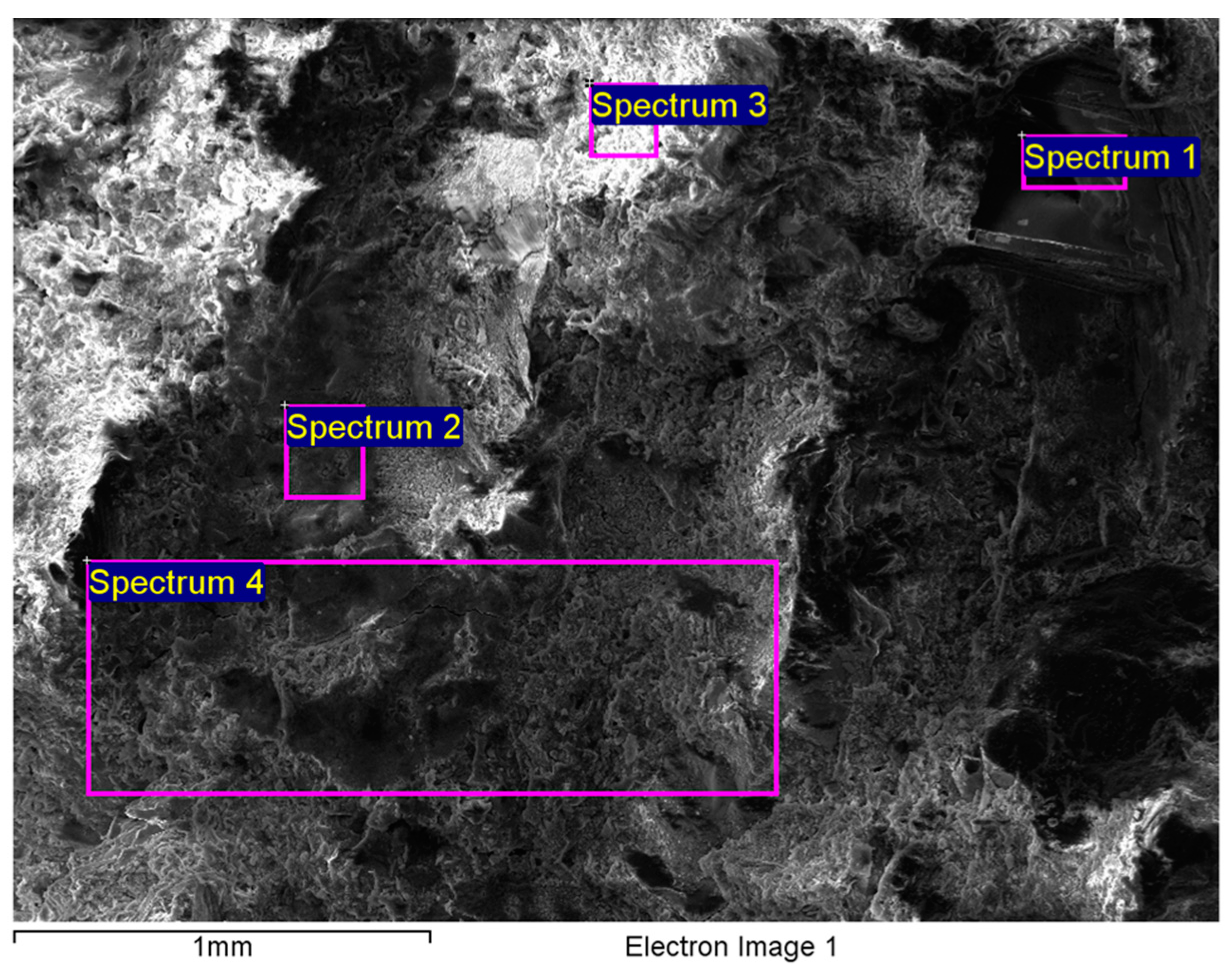 Coatings 13 00492 g003