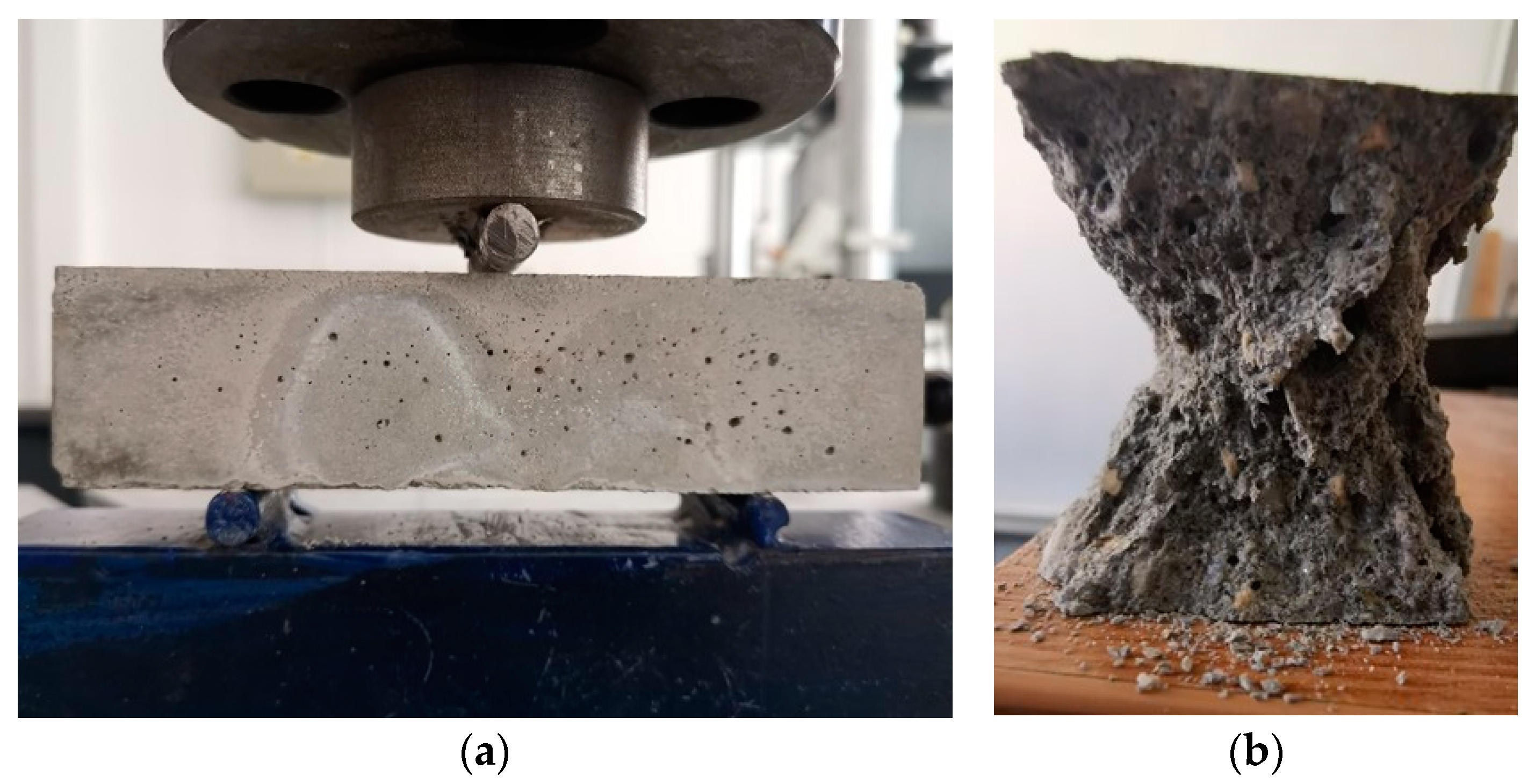 Coatings 13 00492 g004