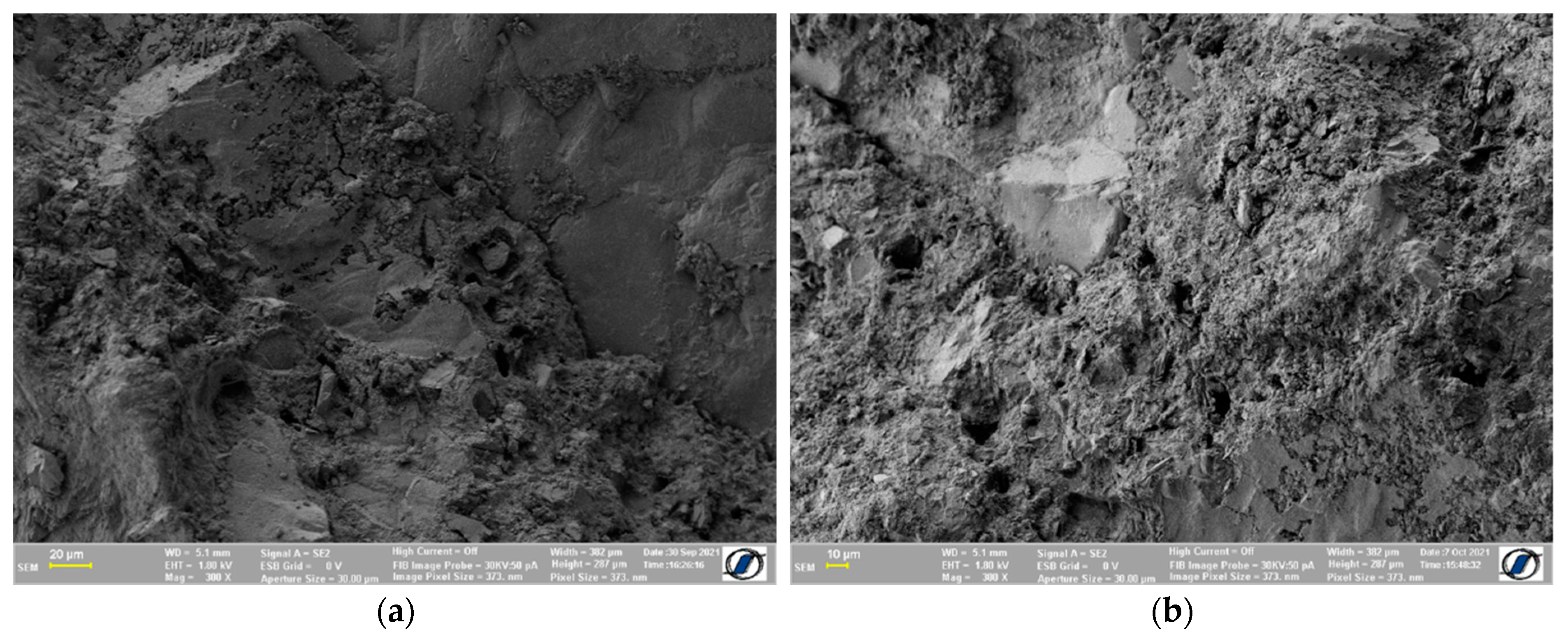Coatings 13 00492 g010