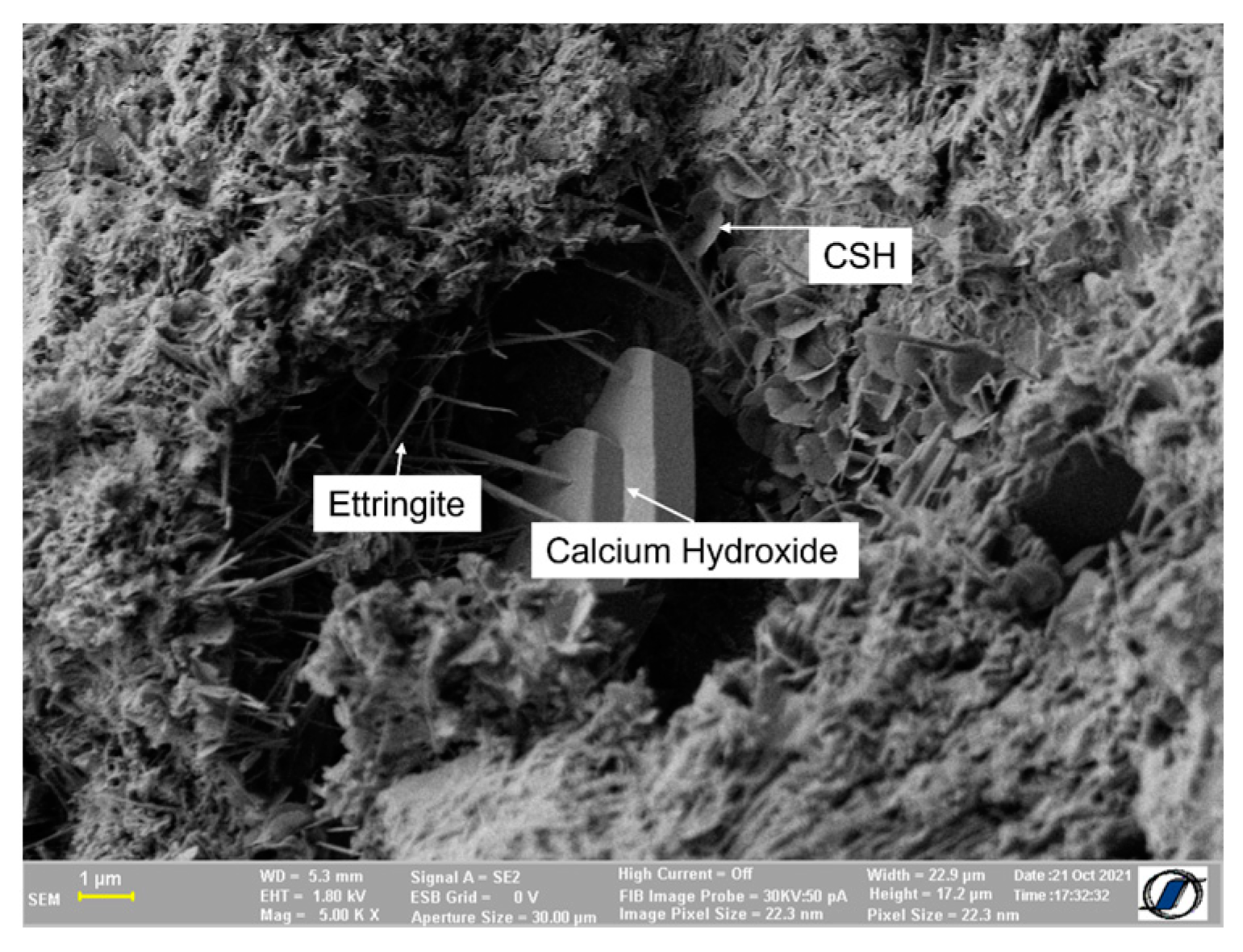 Coatings 13 00492 g012