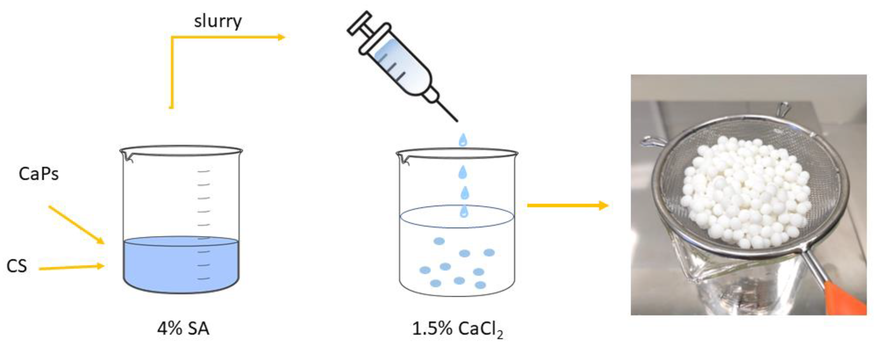 Coatings 13 00494 g001