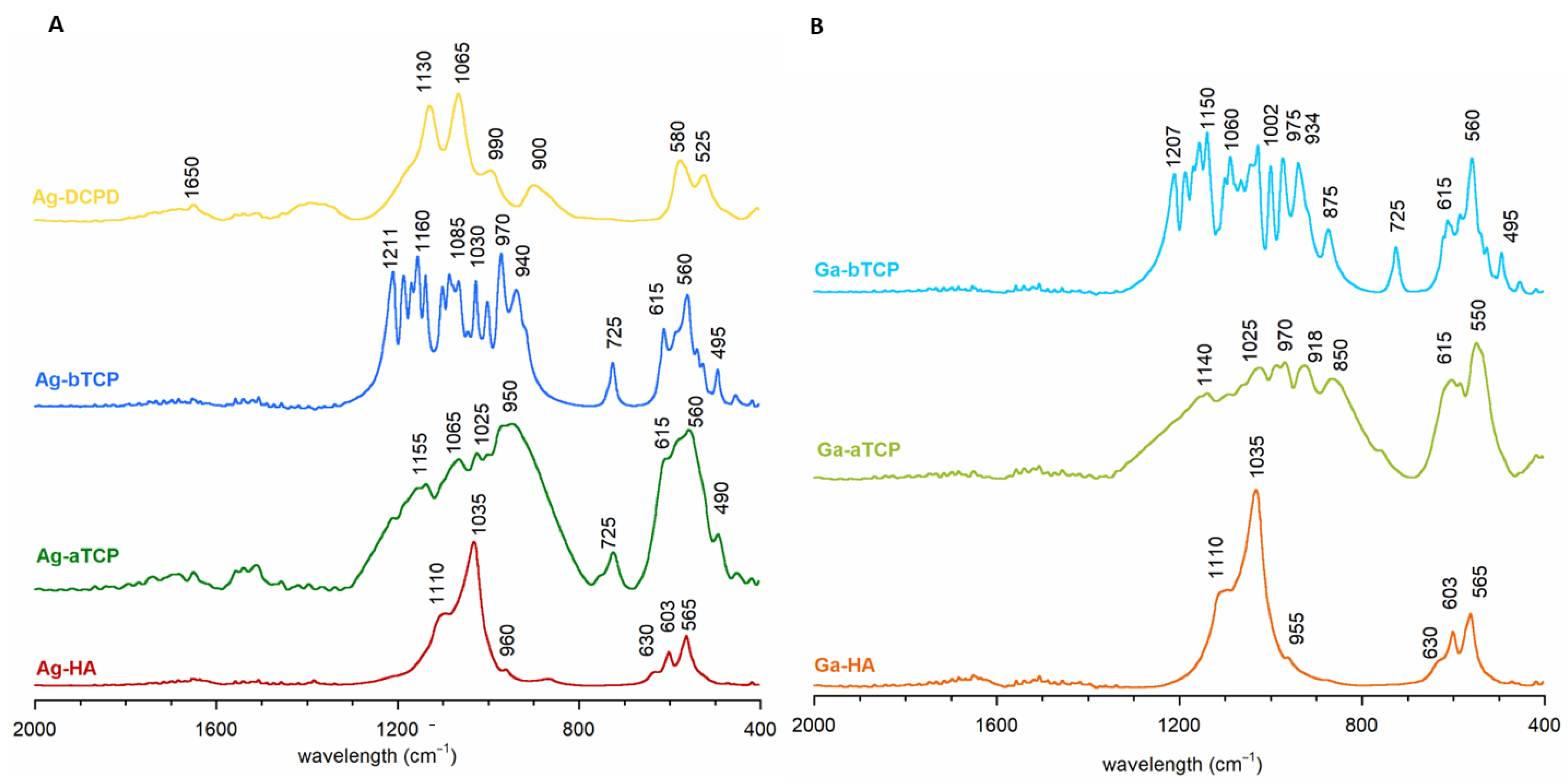 Coatings 13 00494 g002
