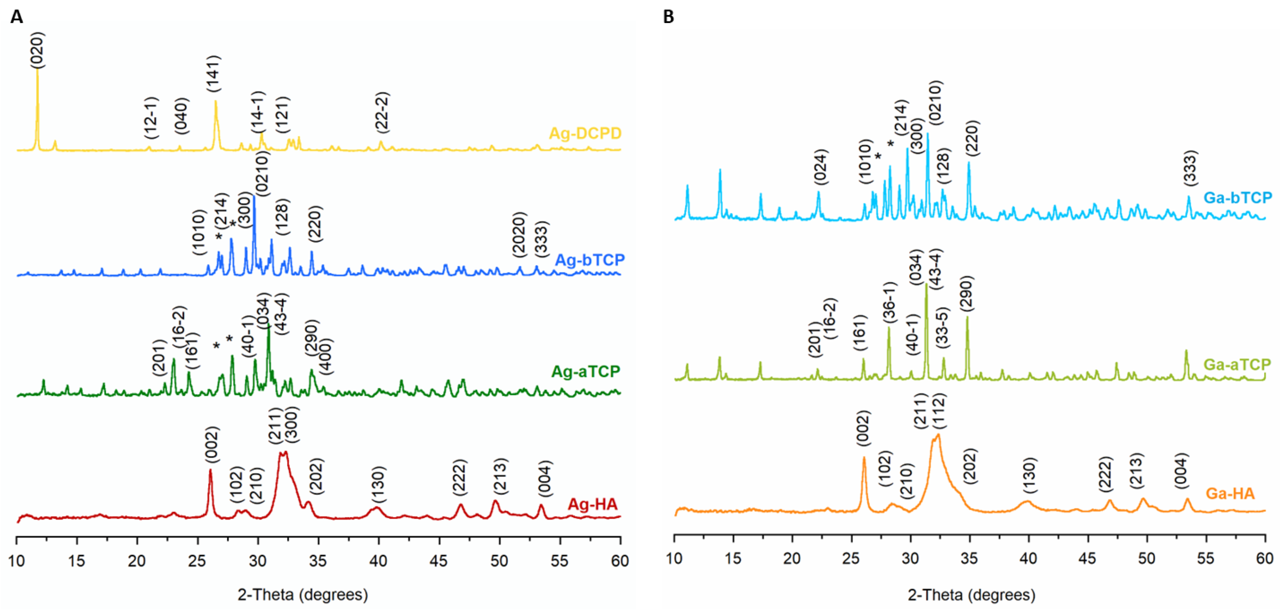 Coatings 13 00494 g003