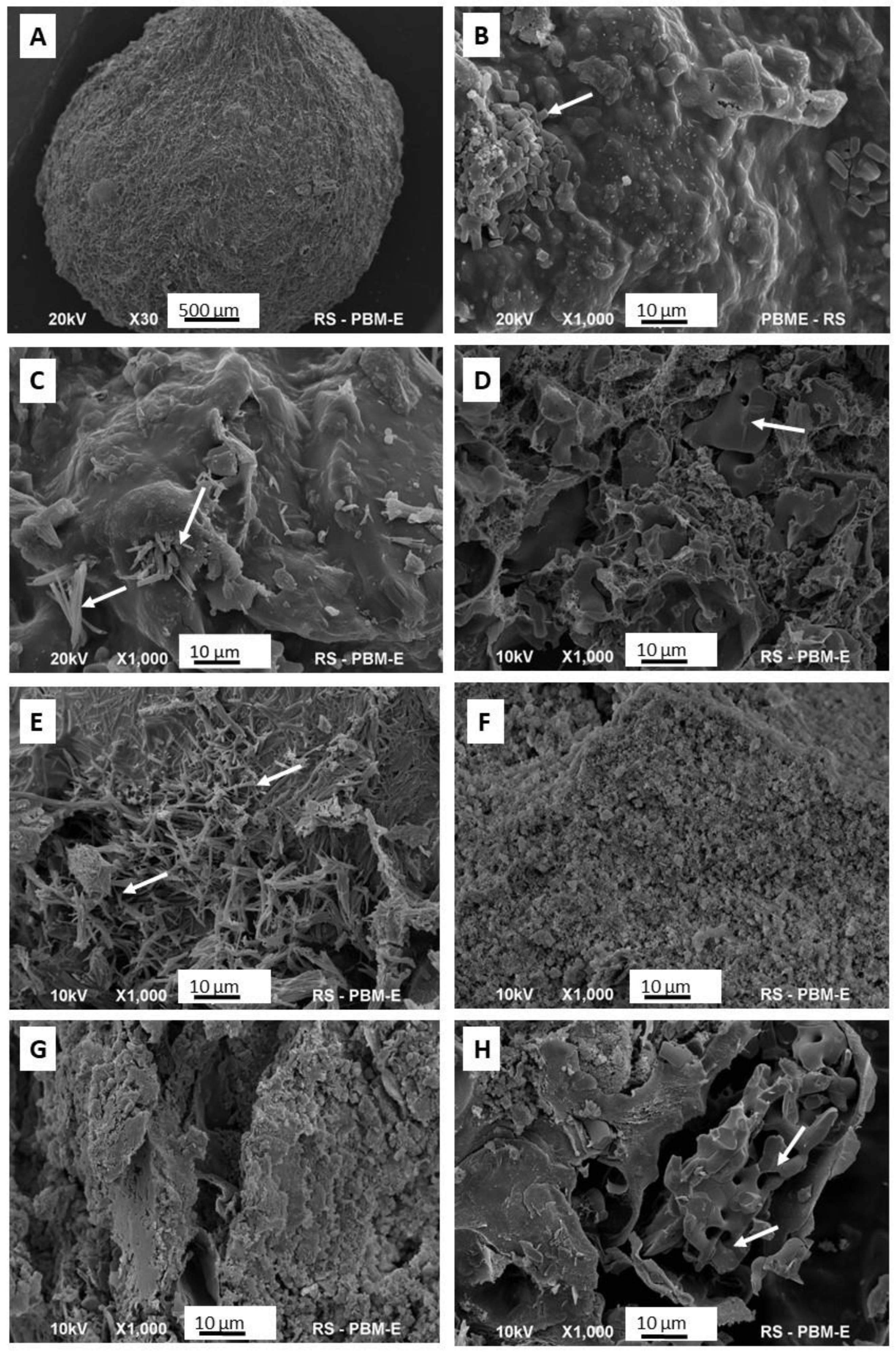 Coatings 13 00494 g004