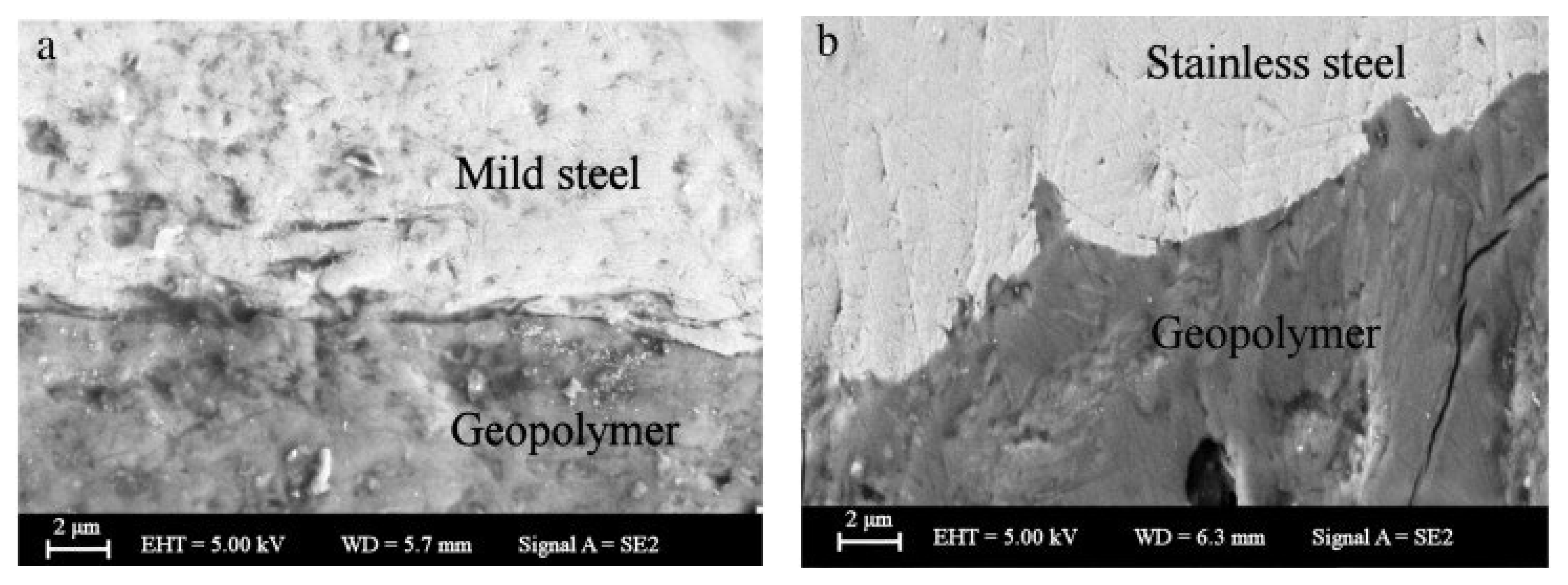 Coatings 13 00495 g005