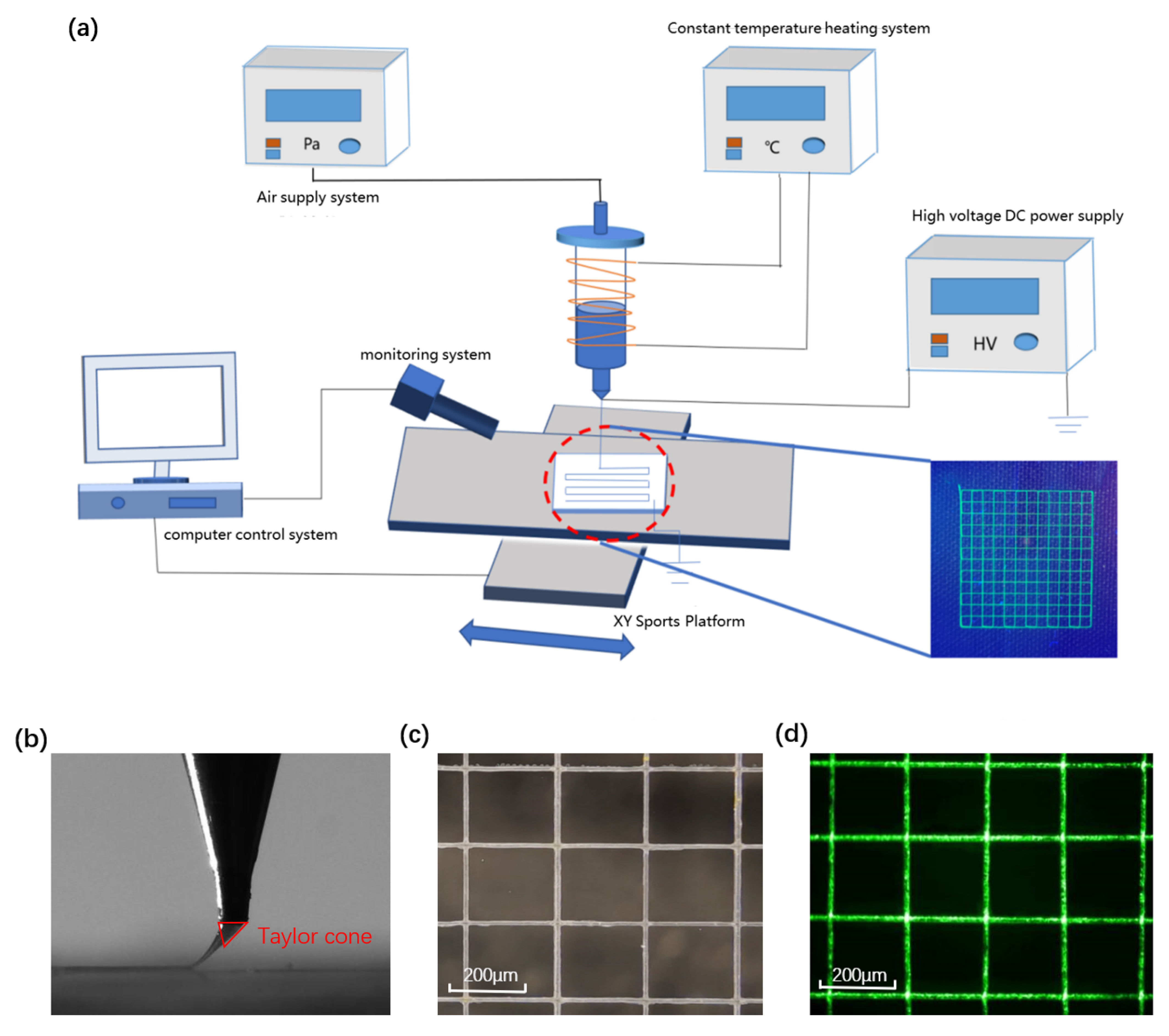 Coatings 13 00500 g001