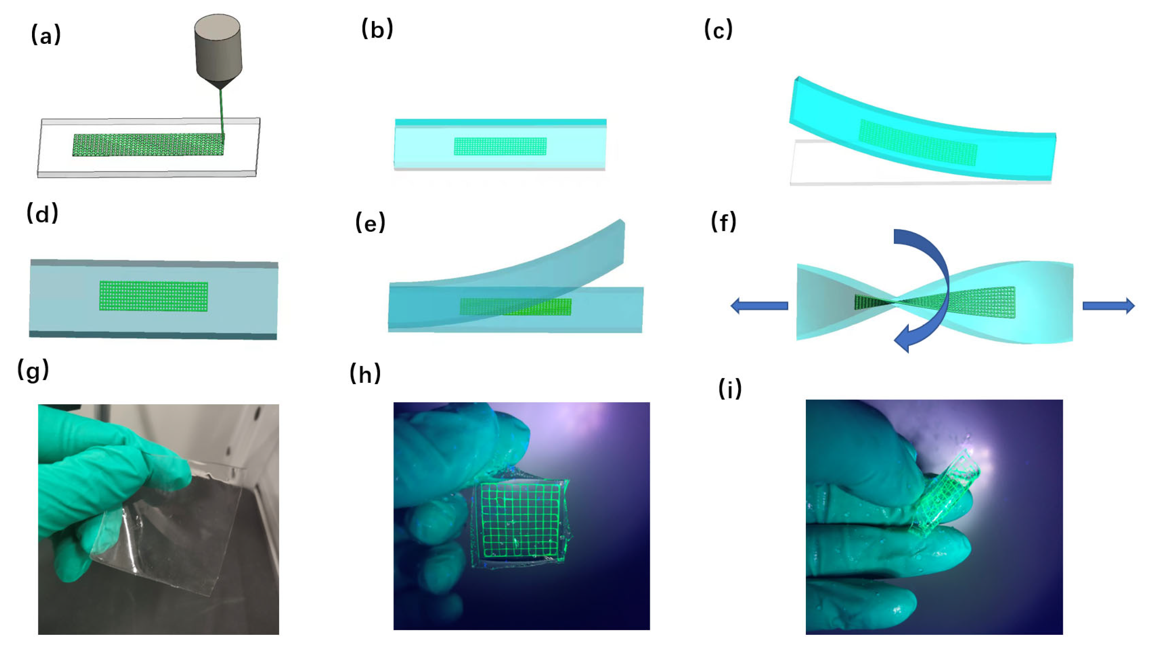 Coatings 13 00500 g003