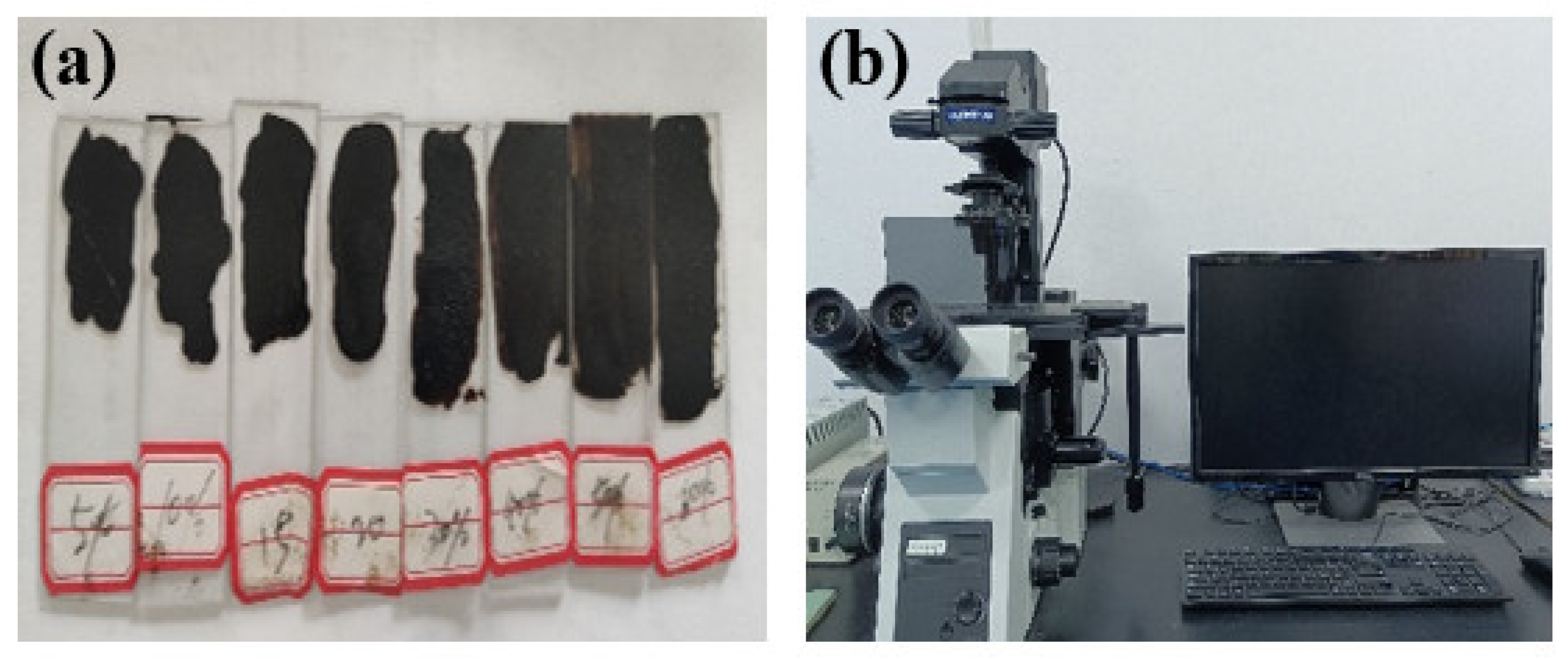 Coatings 13 00504 g002