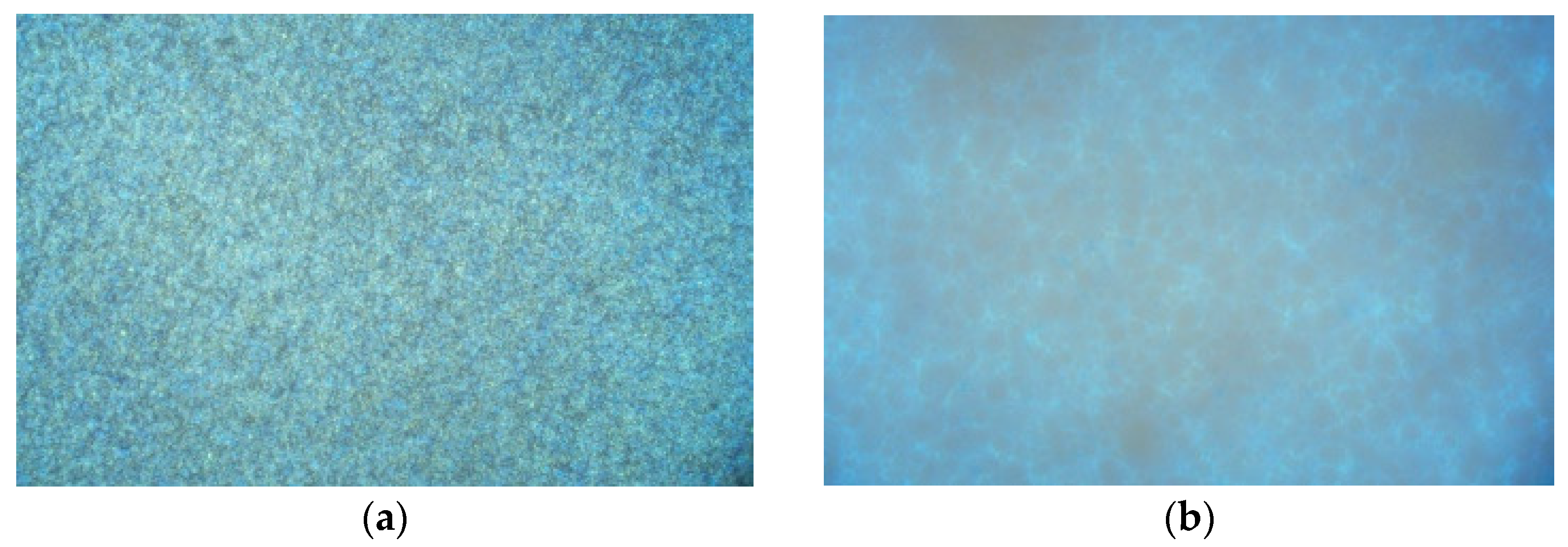 Coatings 13 00504 g007