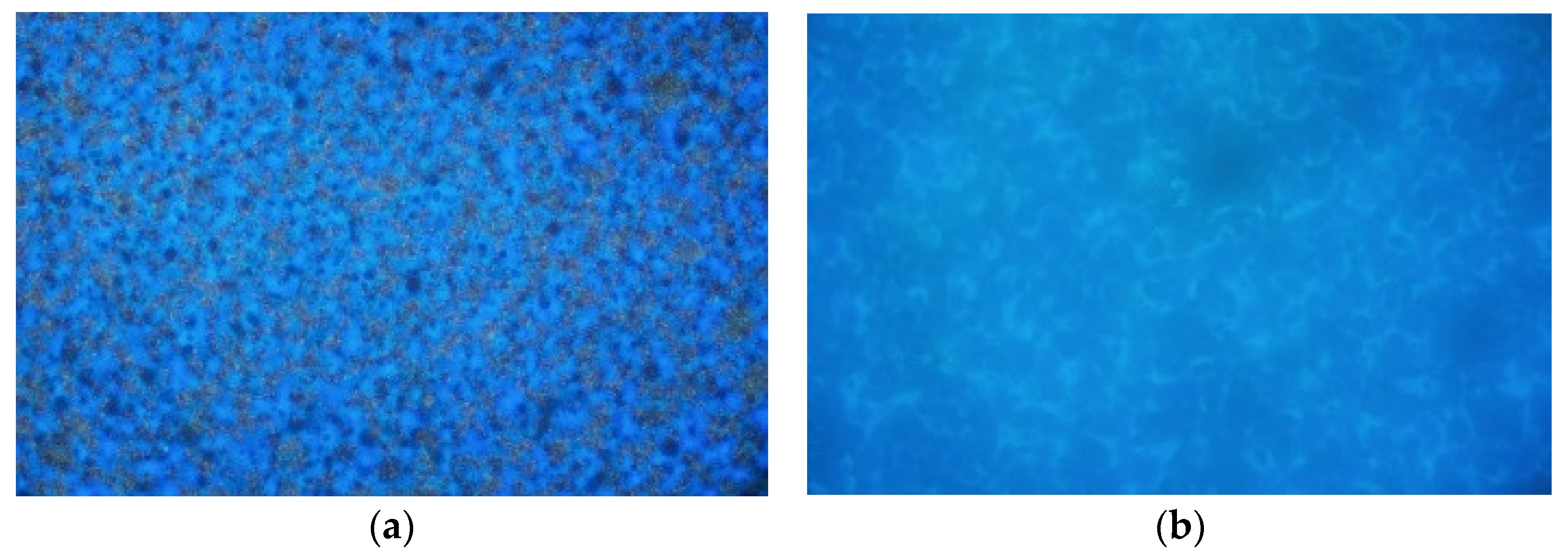 Coatings 13 00504 g011