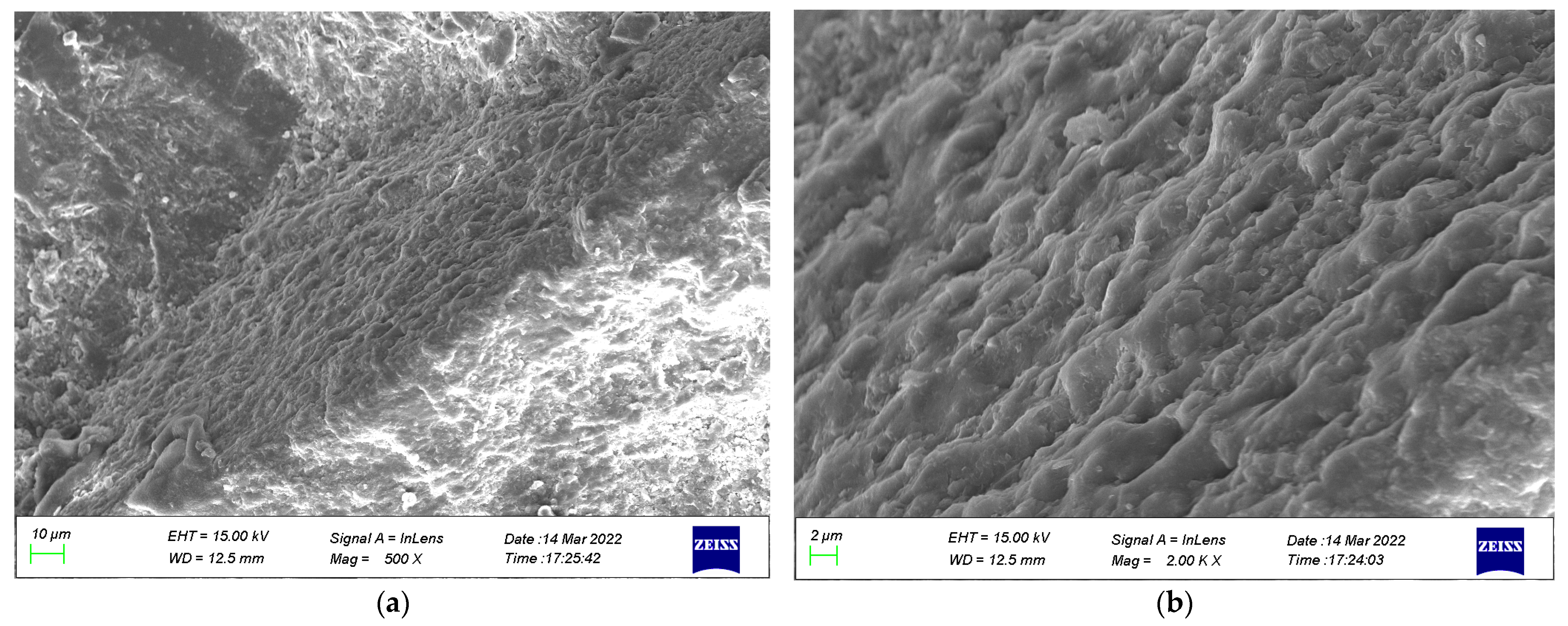Coatings 13 00504 g016