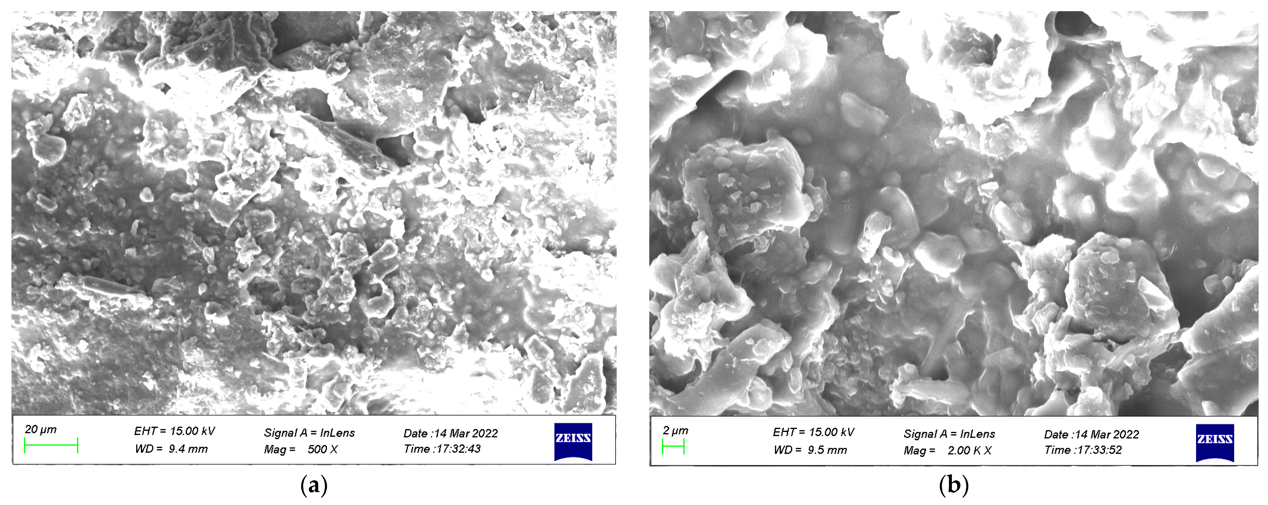 Coatings 13 00504 g018