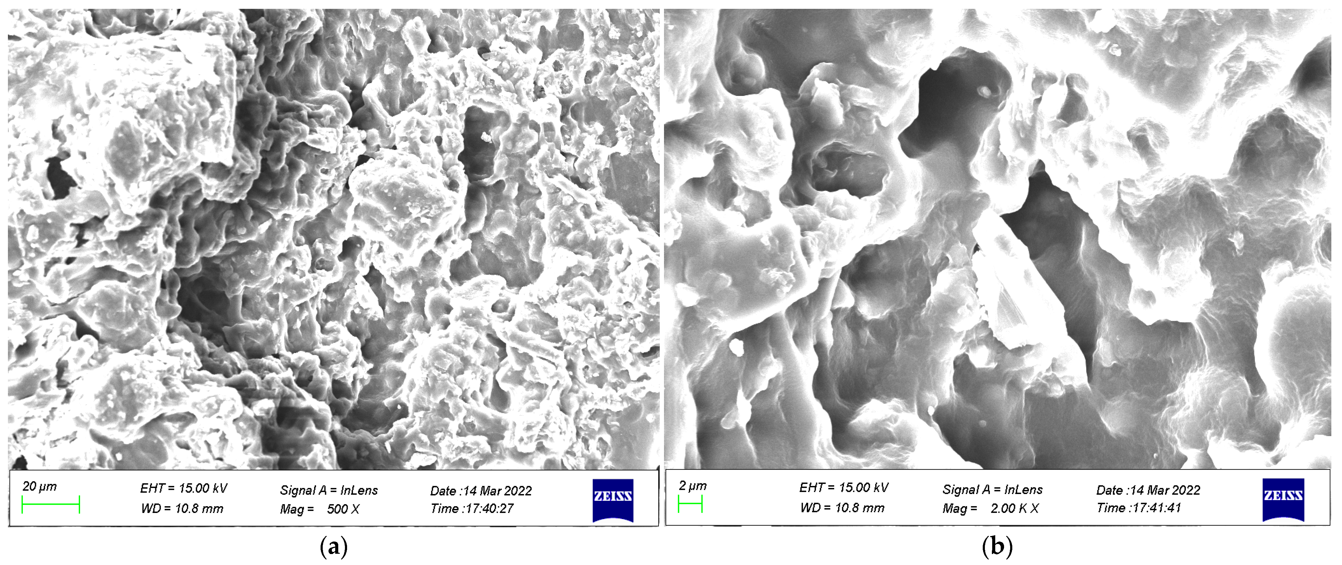 Coatings 13 00504 g020