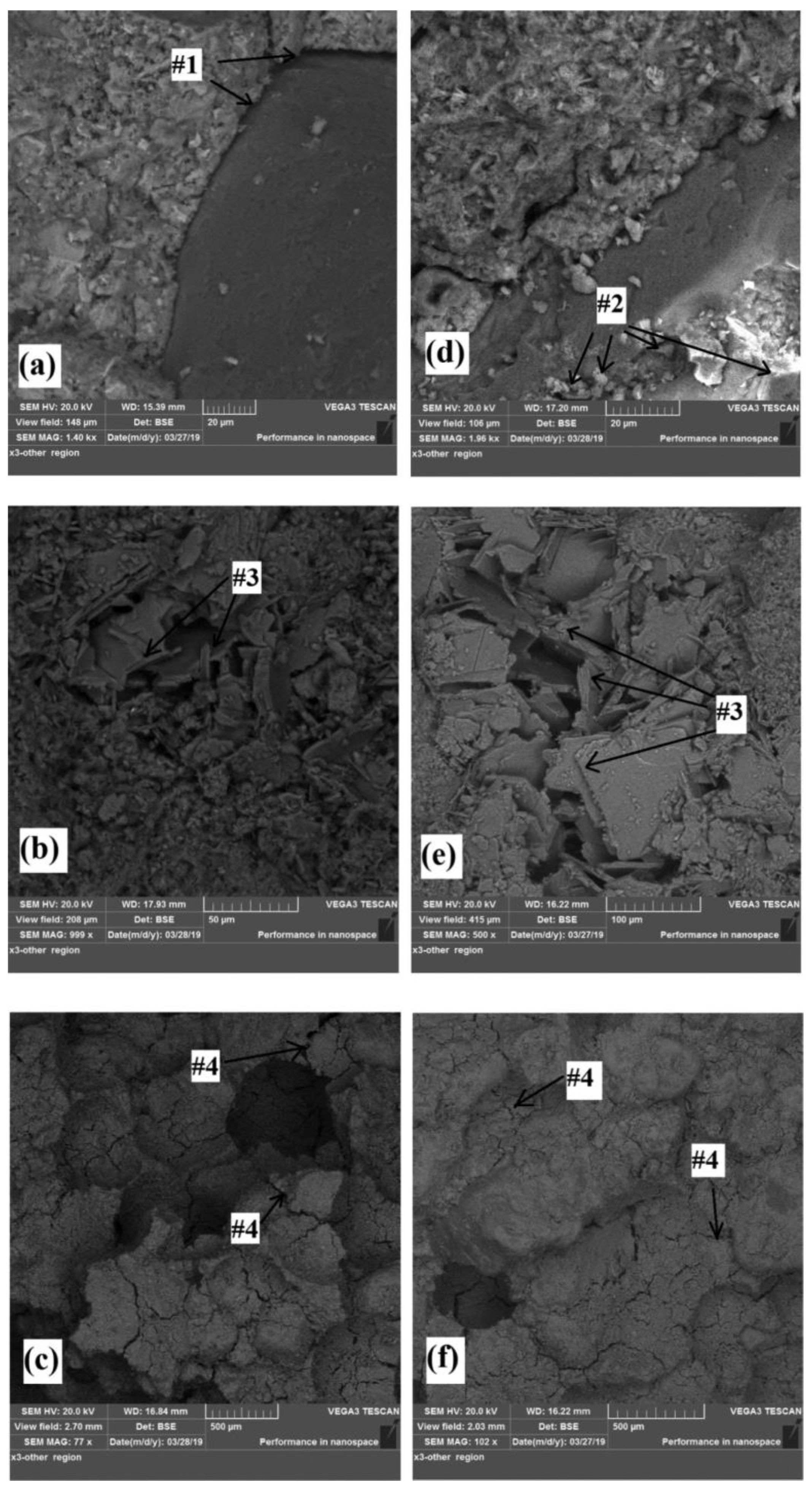 Coatings 13 00506 g001