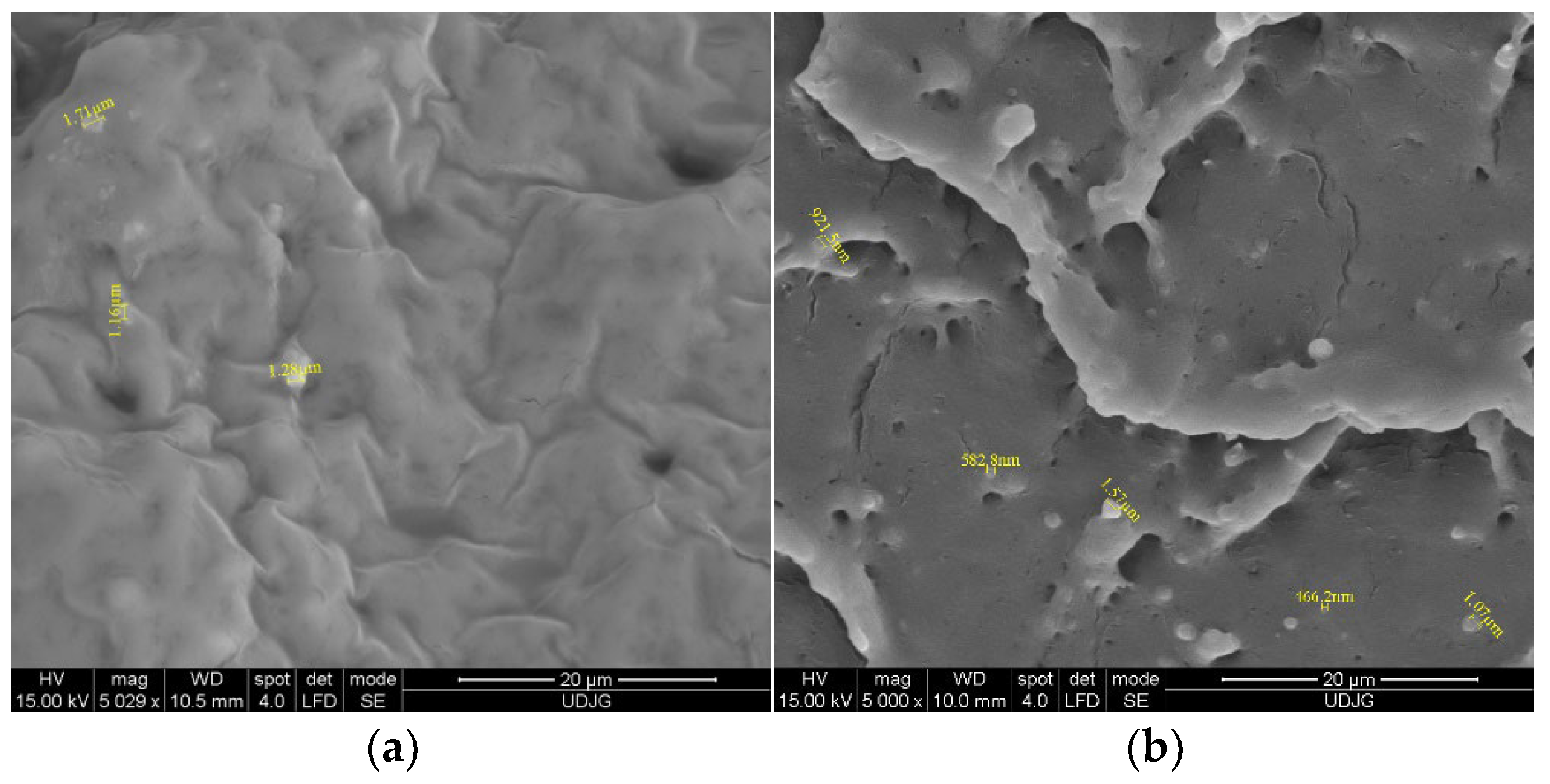 Coatings 13 00508 g001a