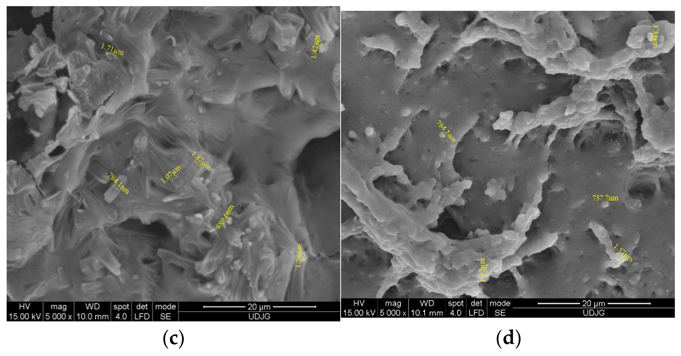 Coatings 13 00508 g001b