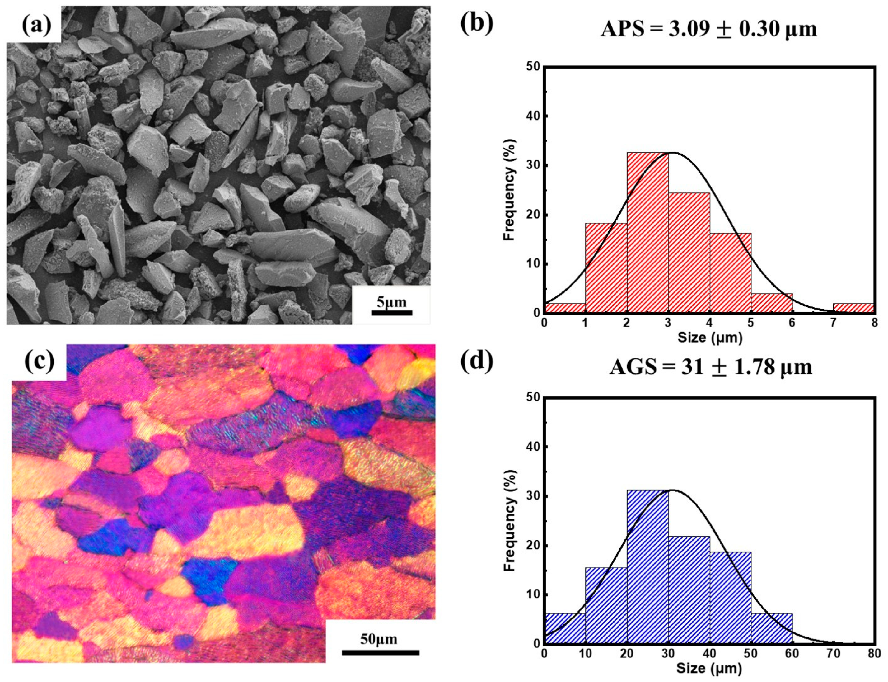 Coatings 13 00512 g001