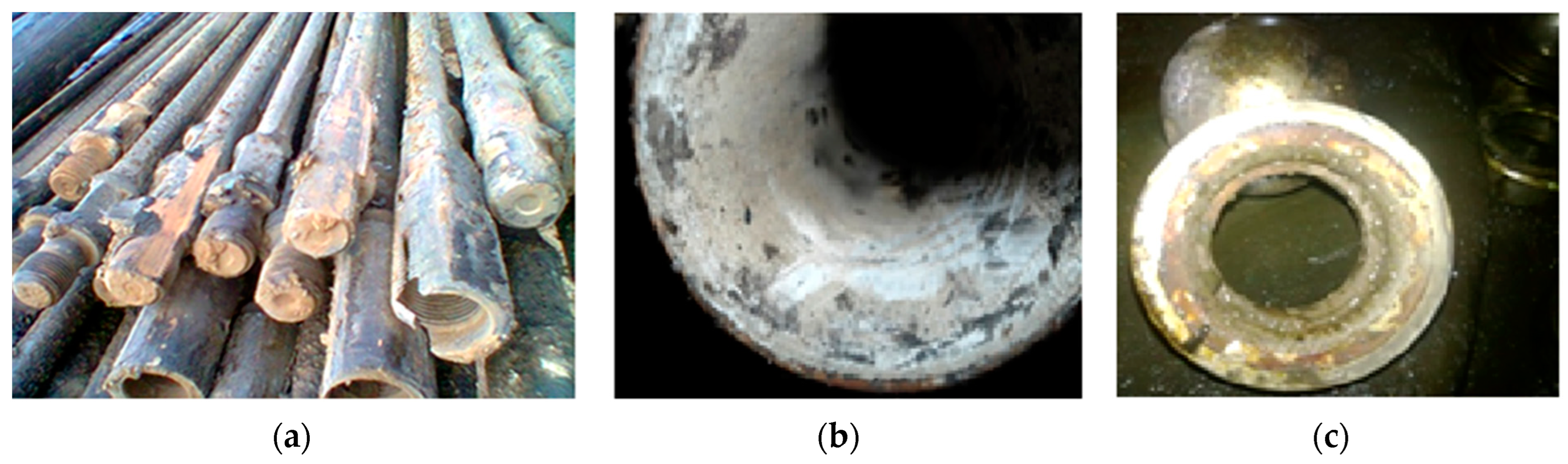 Coatings 13 00514 g001a