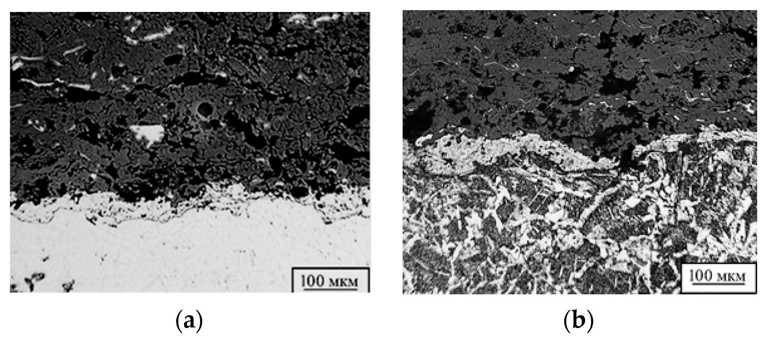 Coatings 13 00514 g013