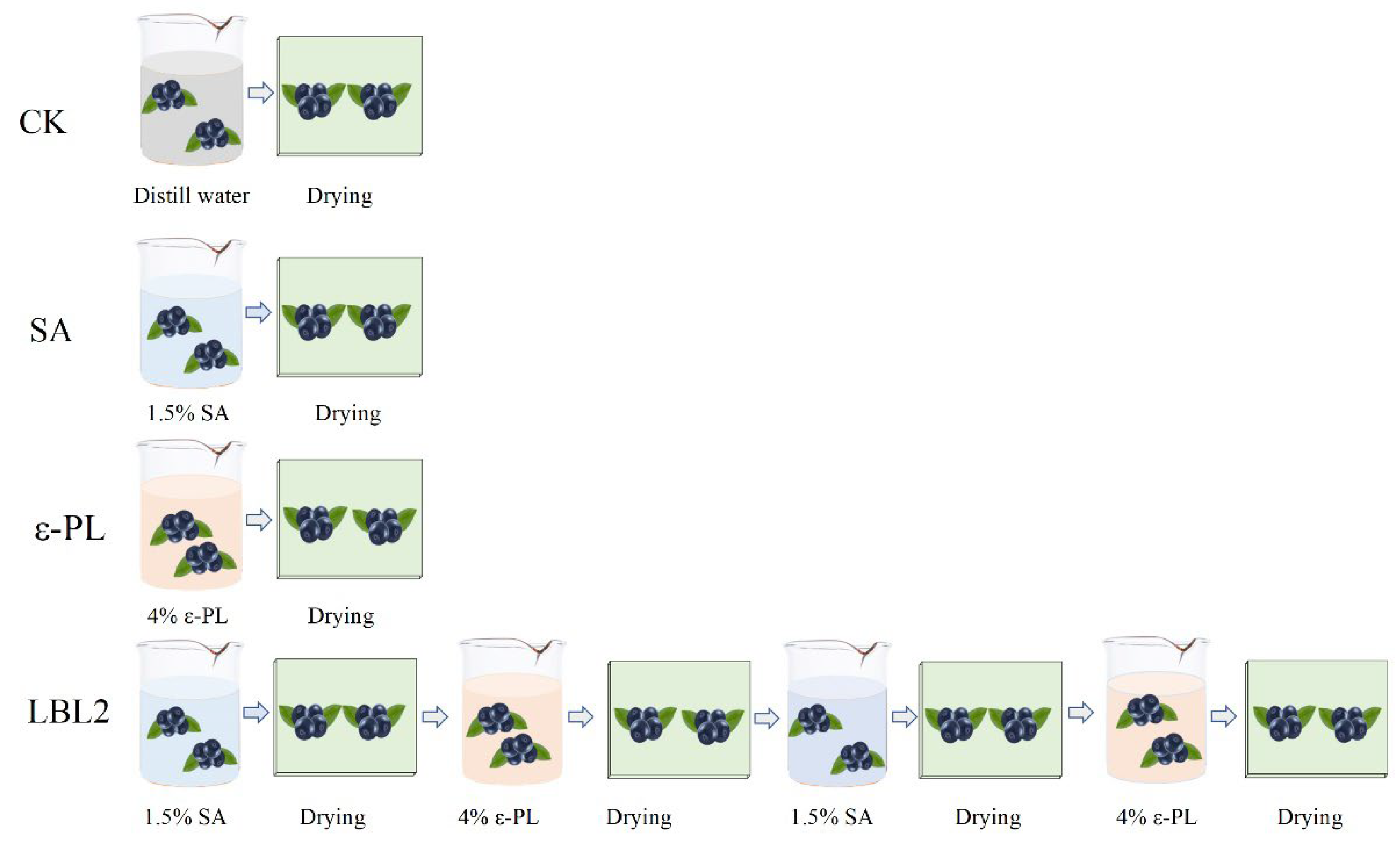 Coatings 13 00516 g002 Coatings 13 00516 g002