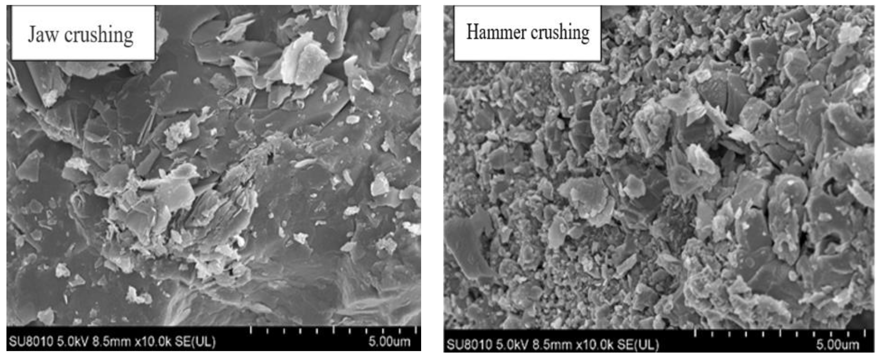 Coatings 13 00518 g003