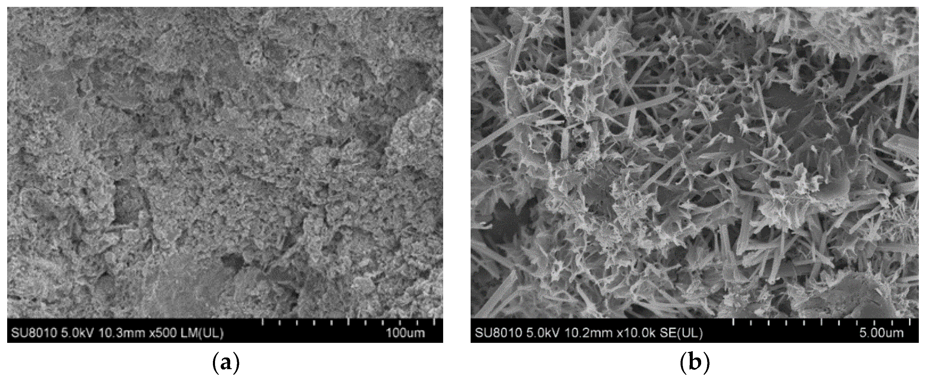 Coatings 13 00518 g009