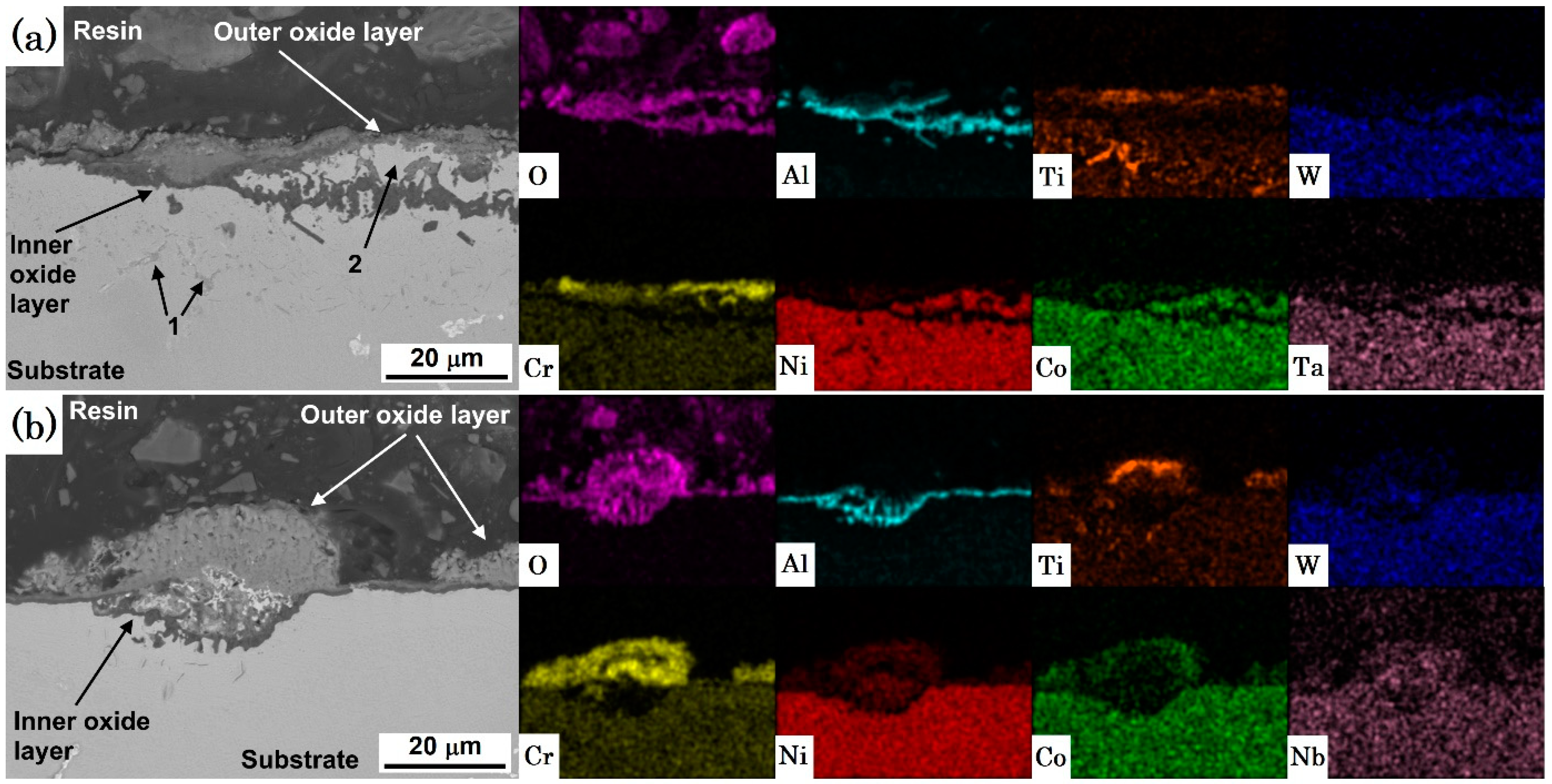 Coatings 13 00519 g005