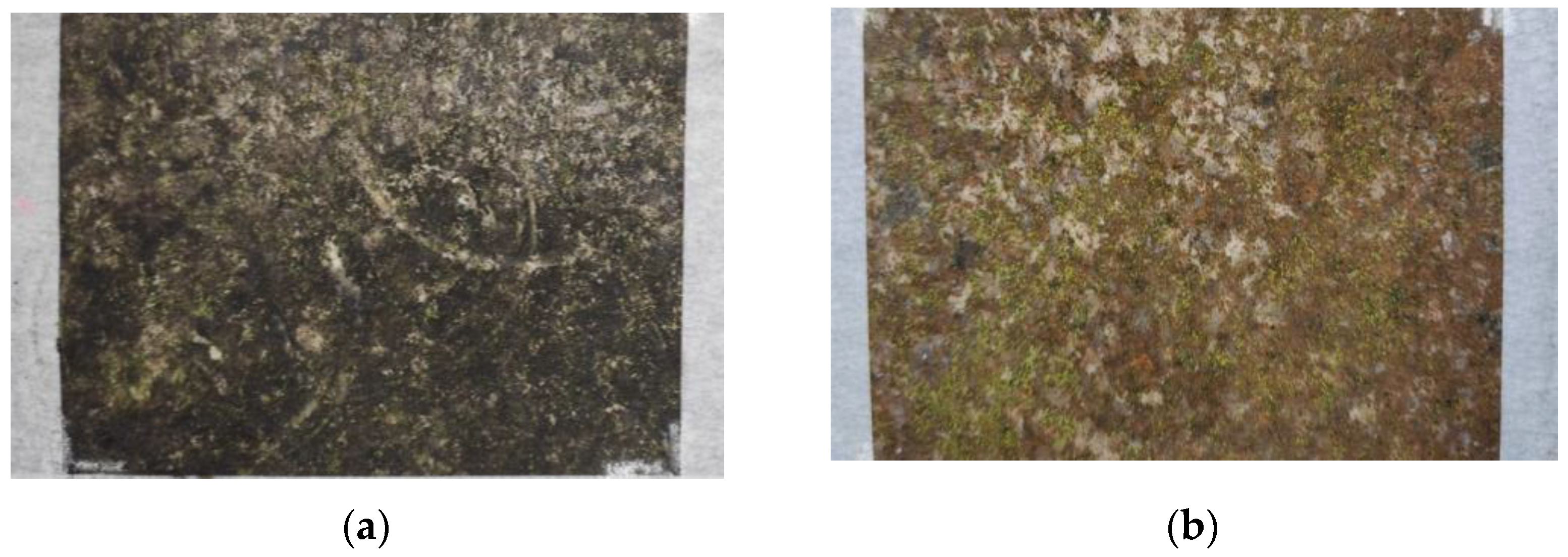 Coatings 13 00520 g001