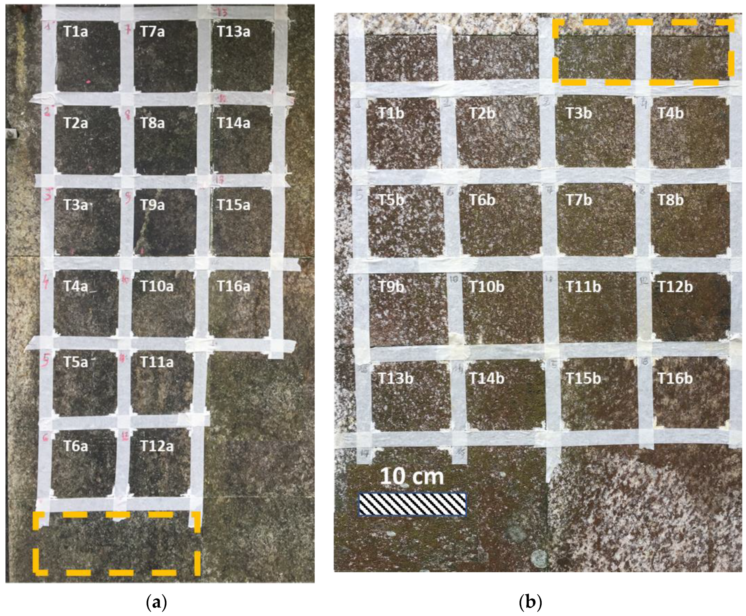 Coatings 13 00520 g002