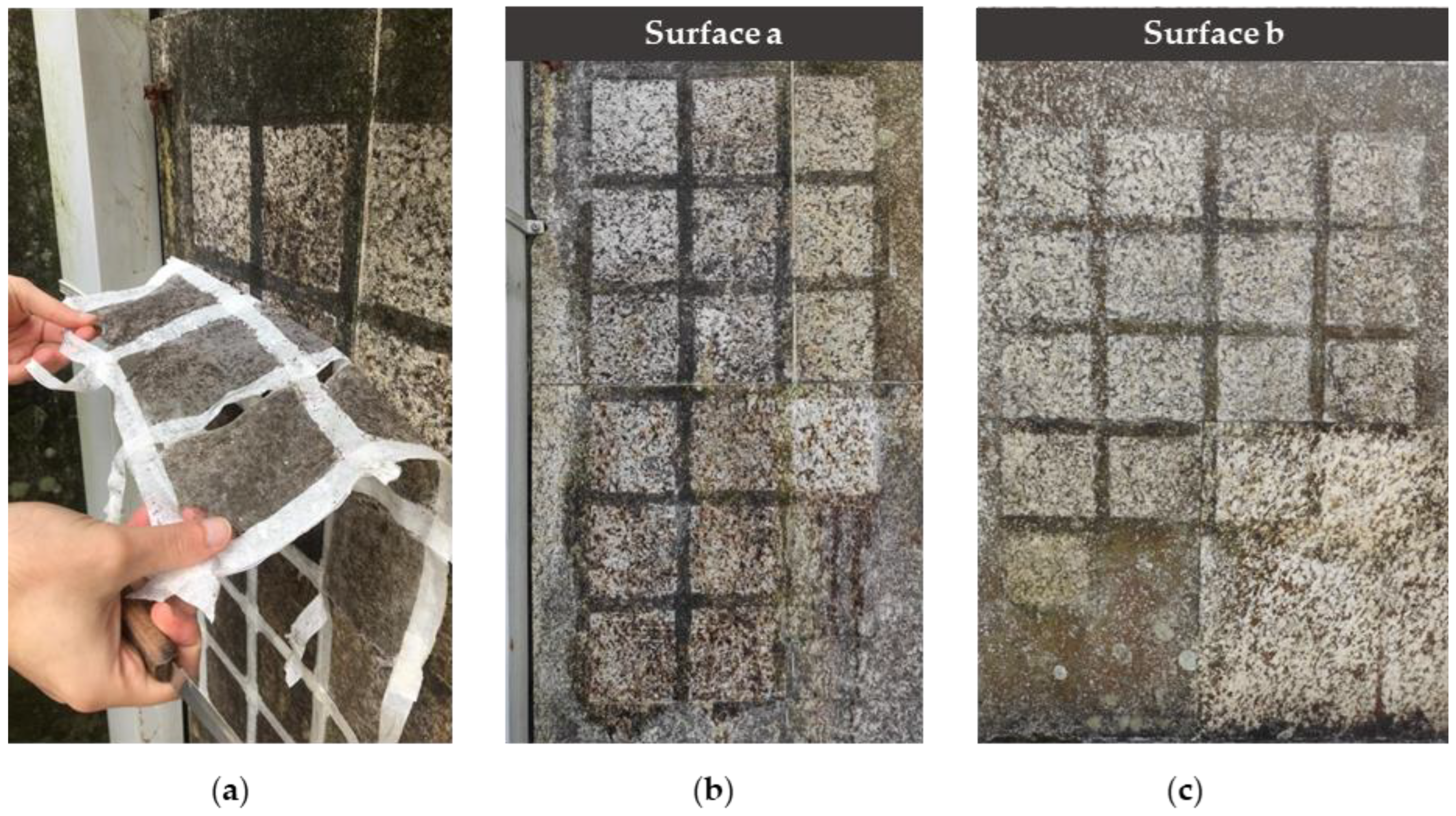 Coatings 13 00520 g006