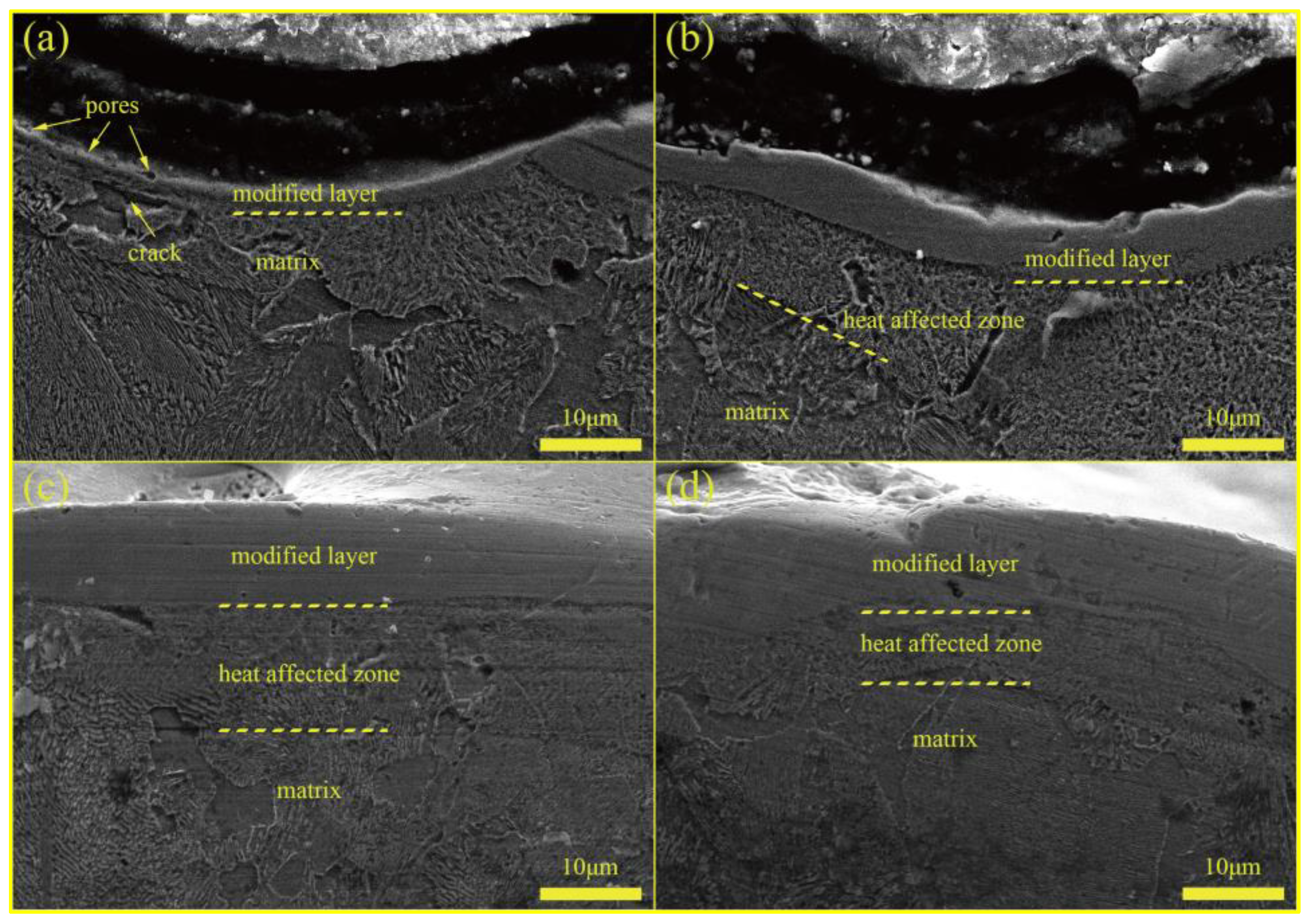 Coatings 13 00521 g002