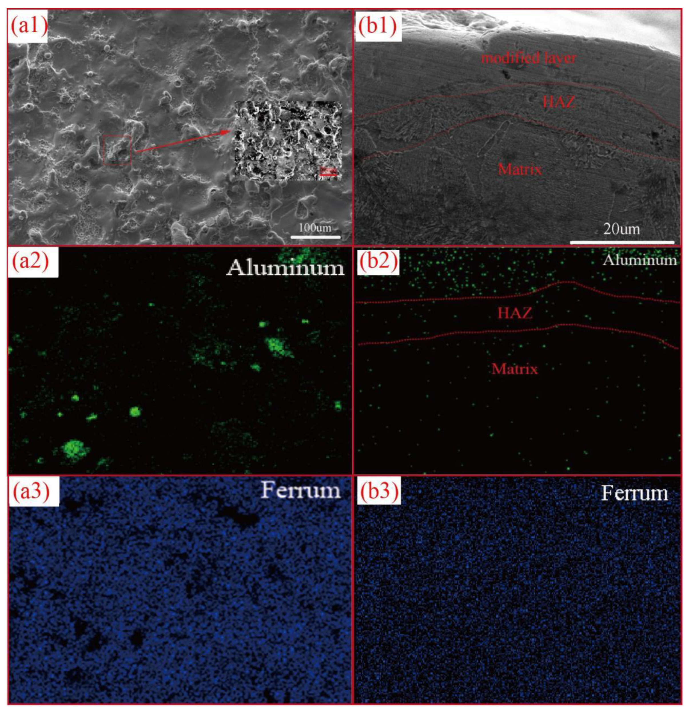 Coatings 13 00521 g005