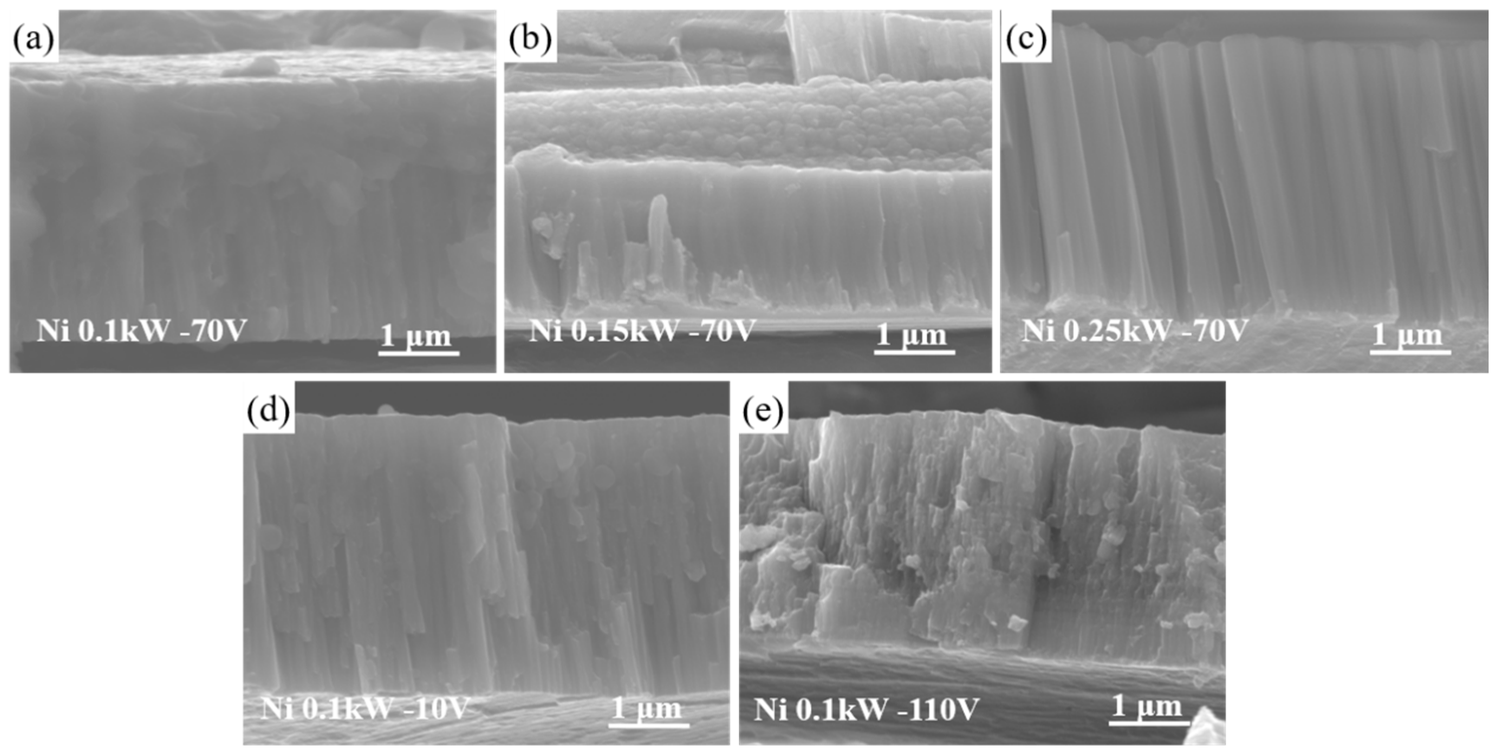Coatings 13 00524 g006
