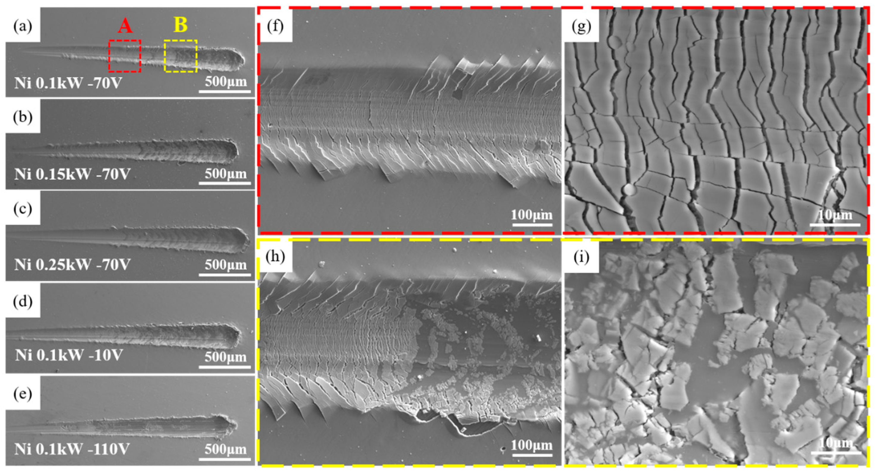 Coatings 13 00524 g009
