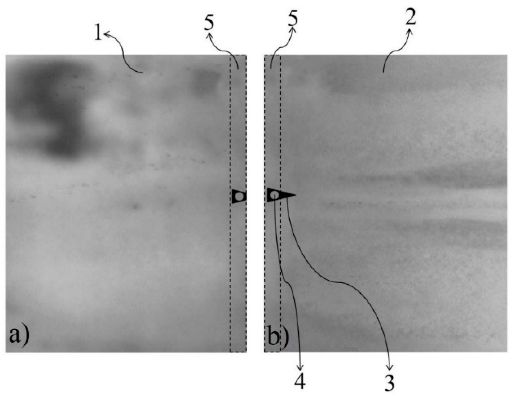 Coatings 13 00528 g007 Coatings 13 00528 g007