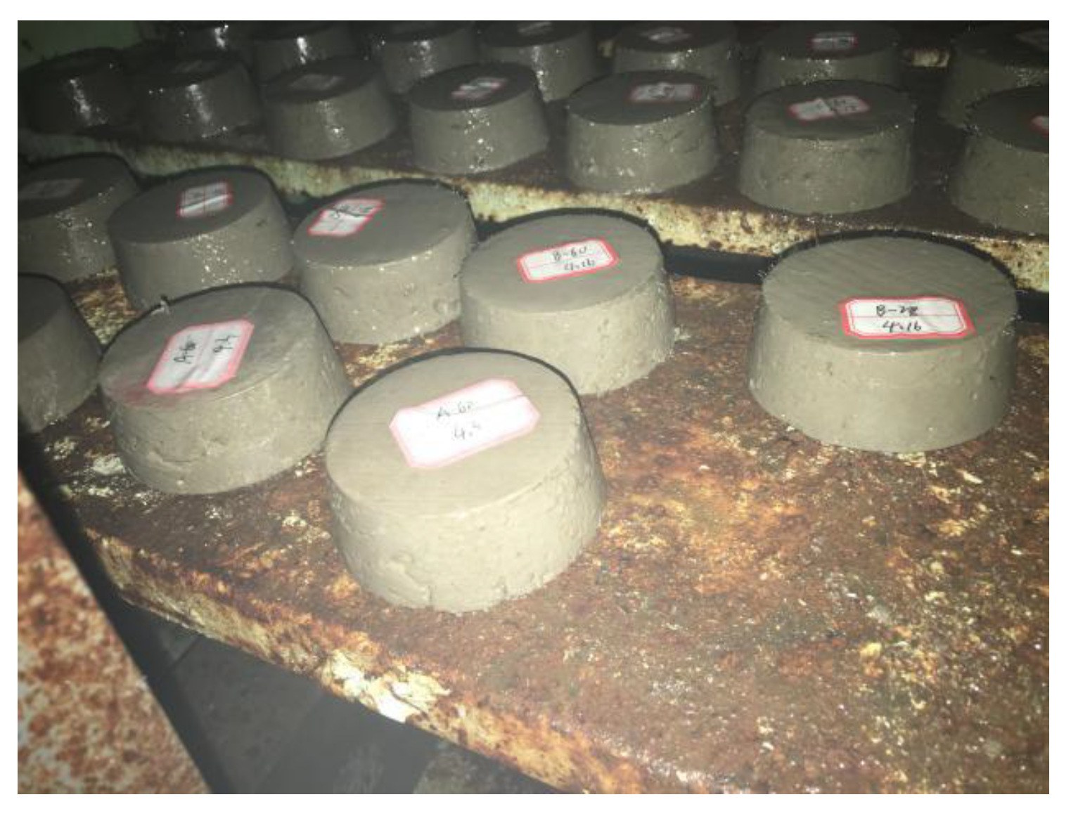 Coatings 13 00532 g004