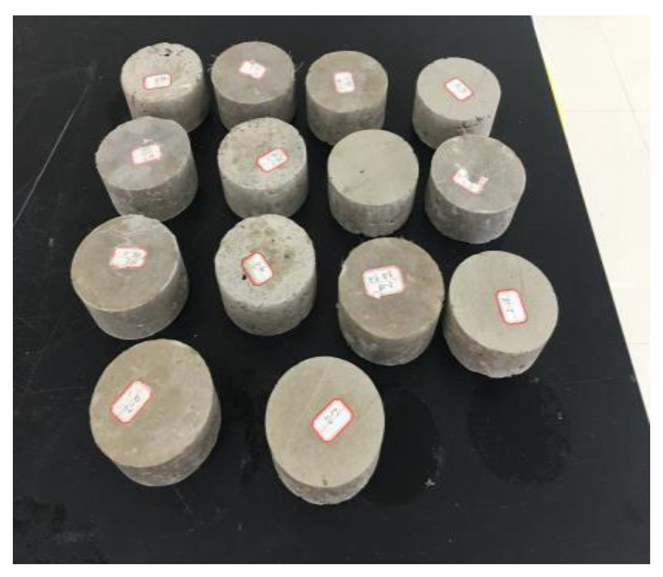 Coatings 13 00532 g005