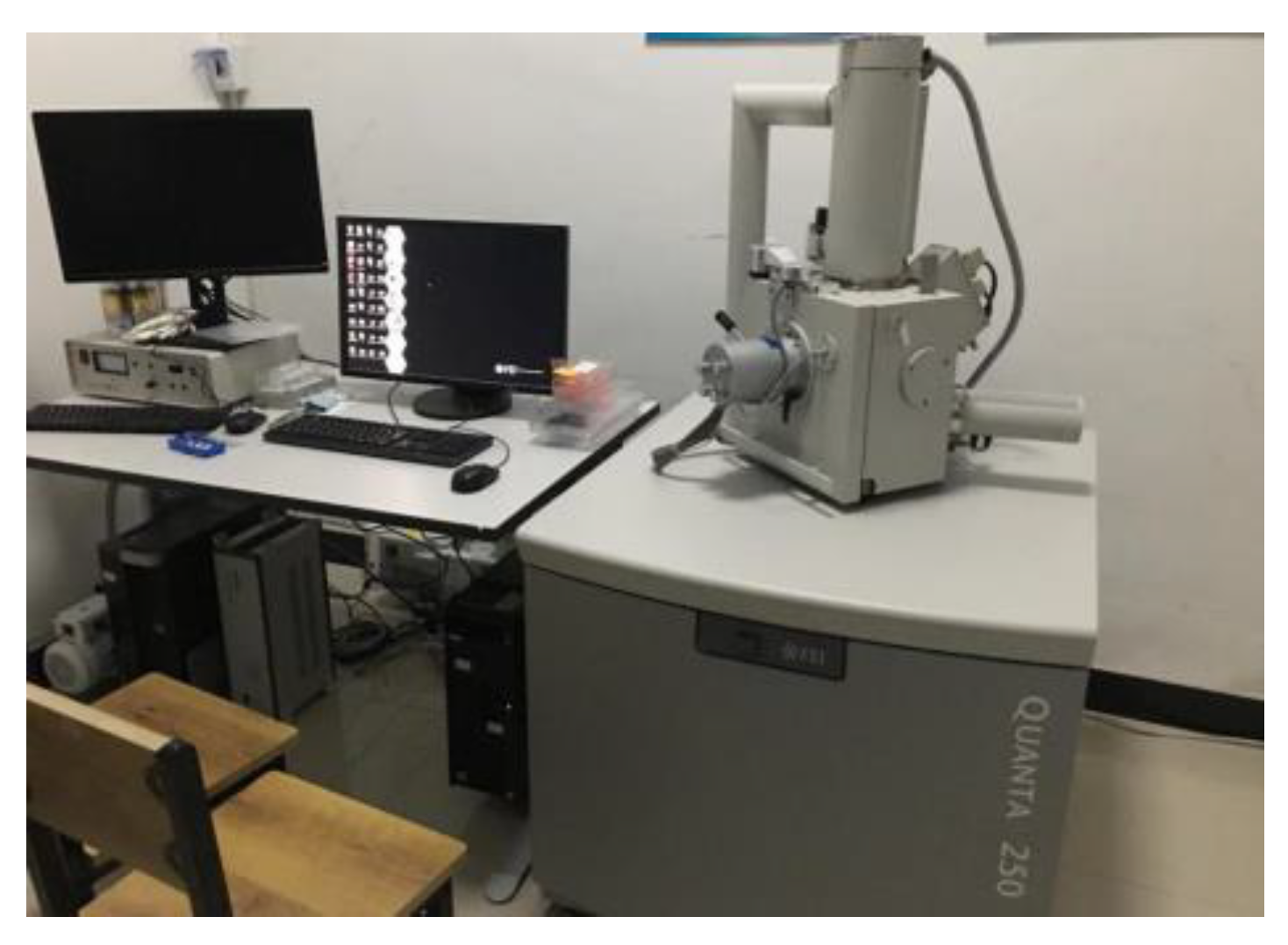 Coatings 13 00532 g008