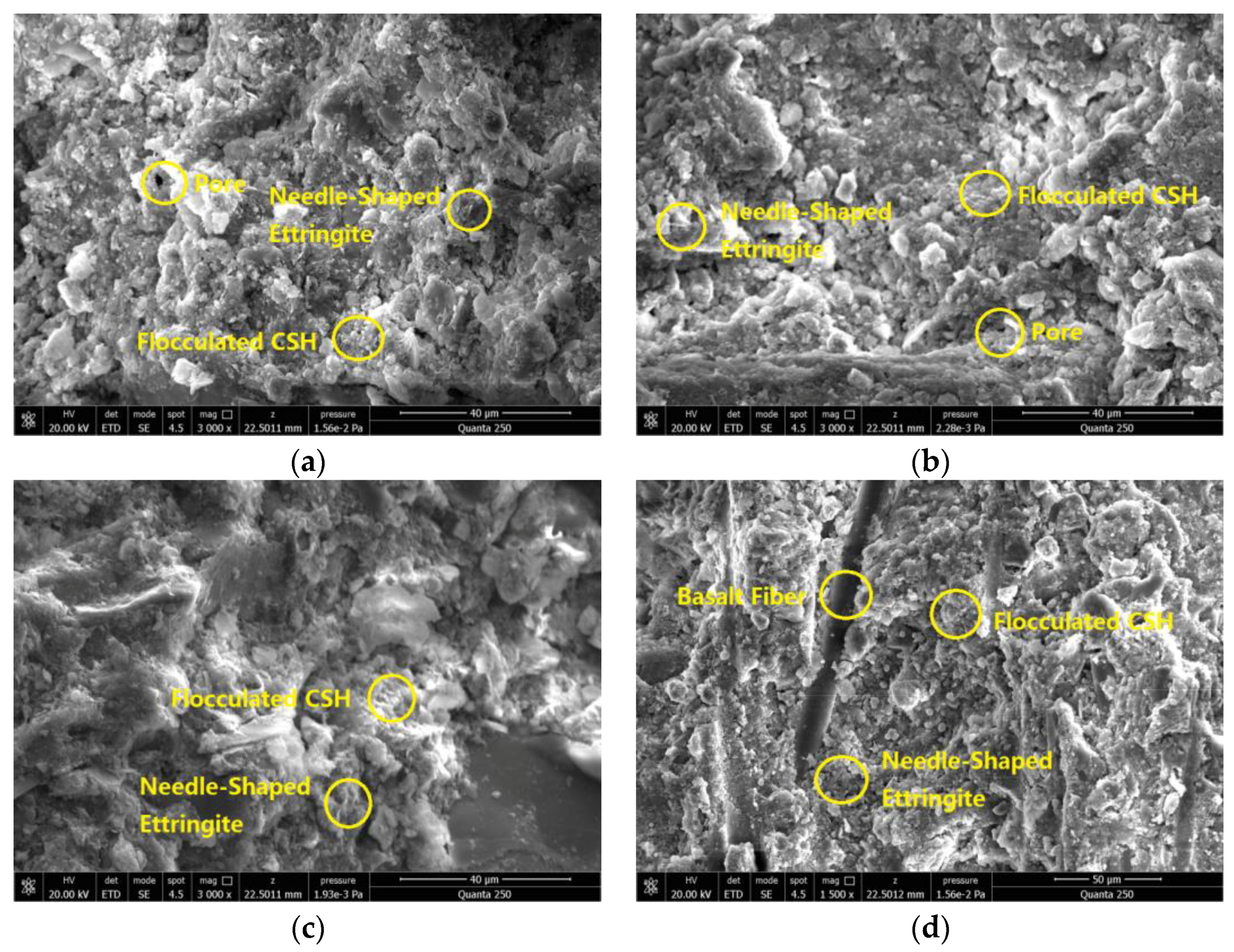 Coatings 13 00532 g013