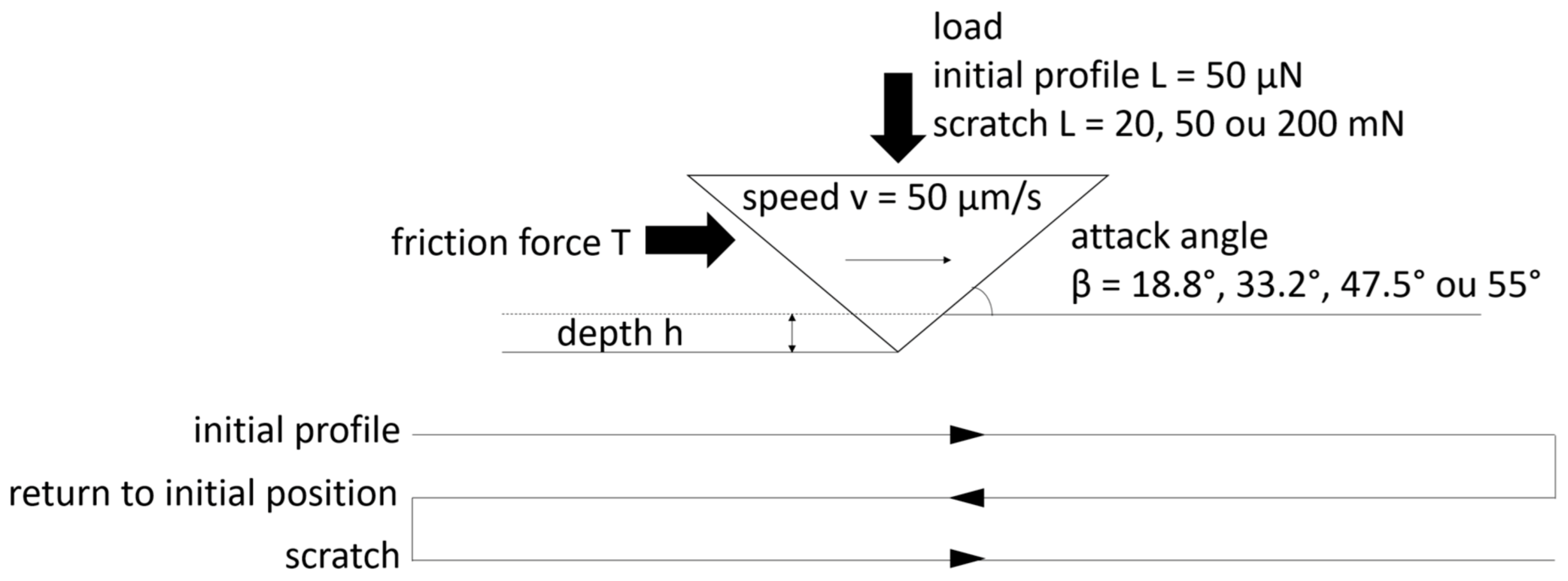 Coatings 13 00533 g004